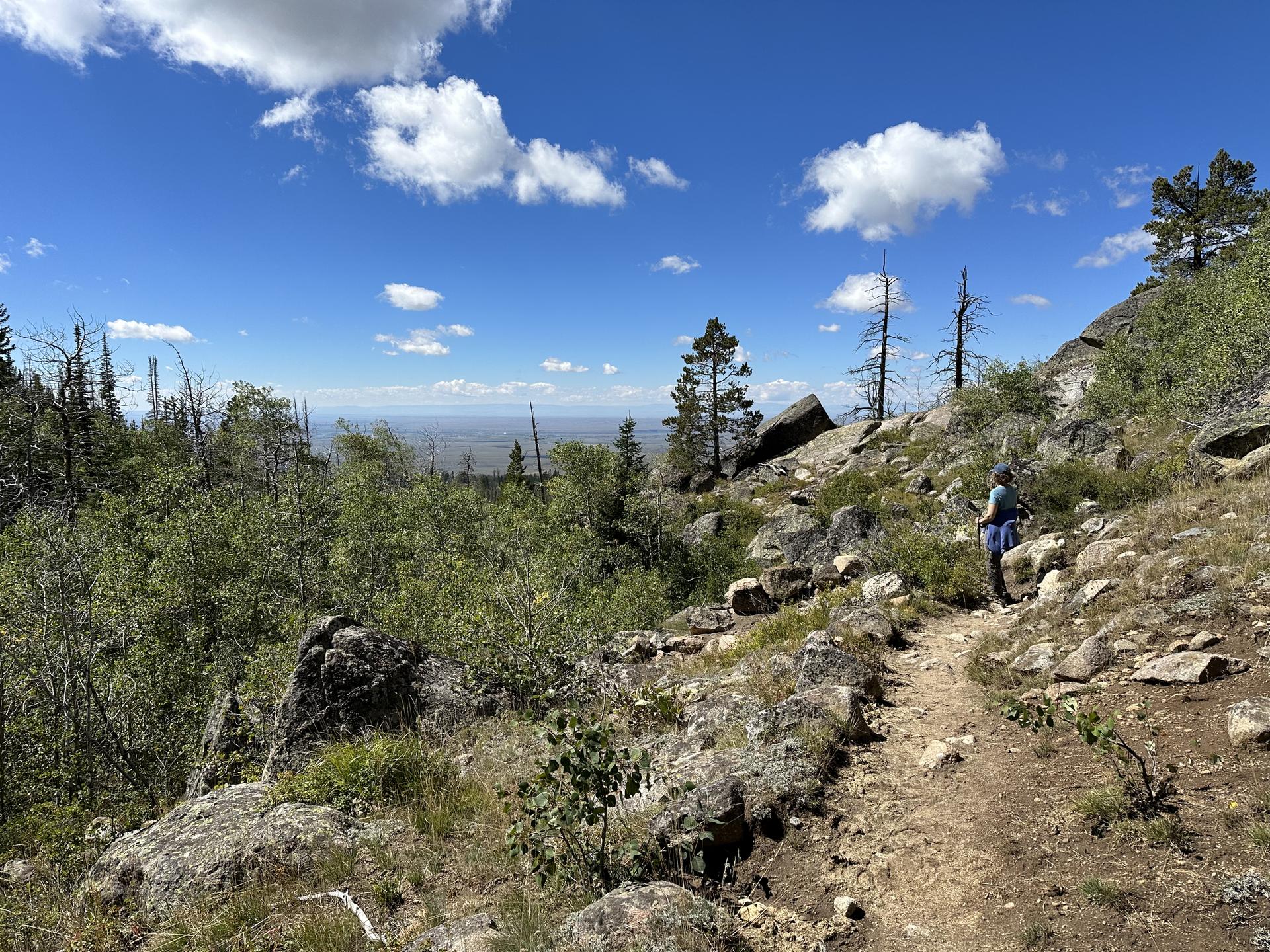 Hiker on a sunny, rocky trail with trees and distant views.