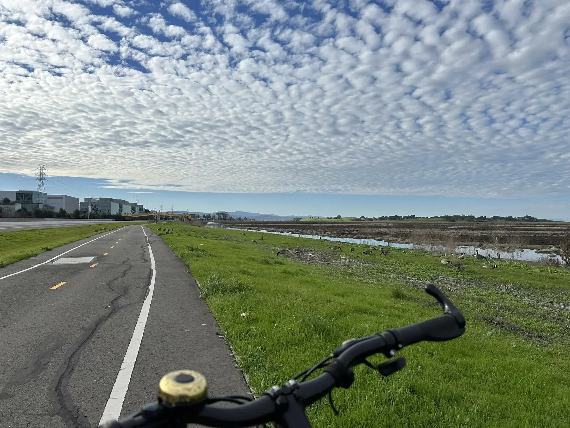 Bicycle handlebars on a paved path next to wetlands under a cloudy sky.