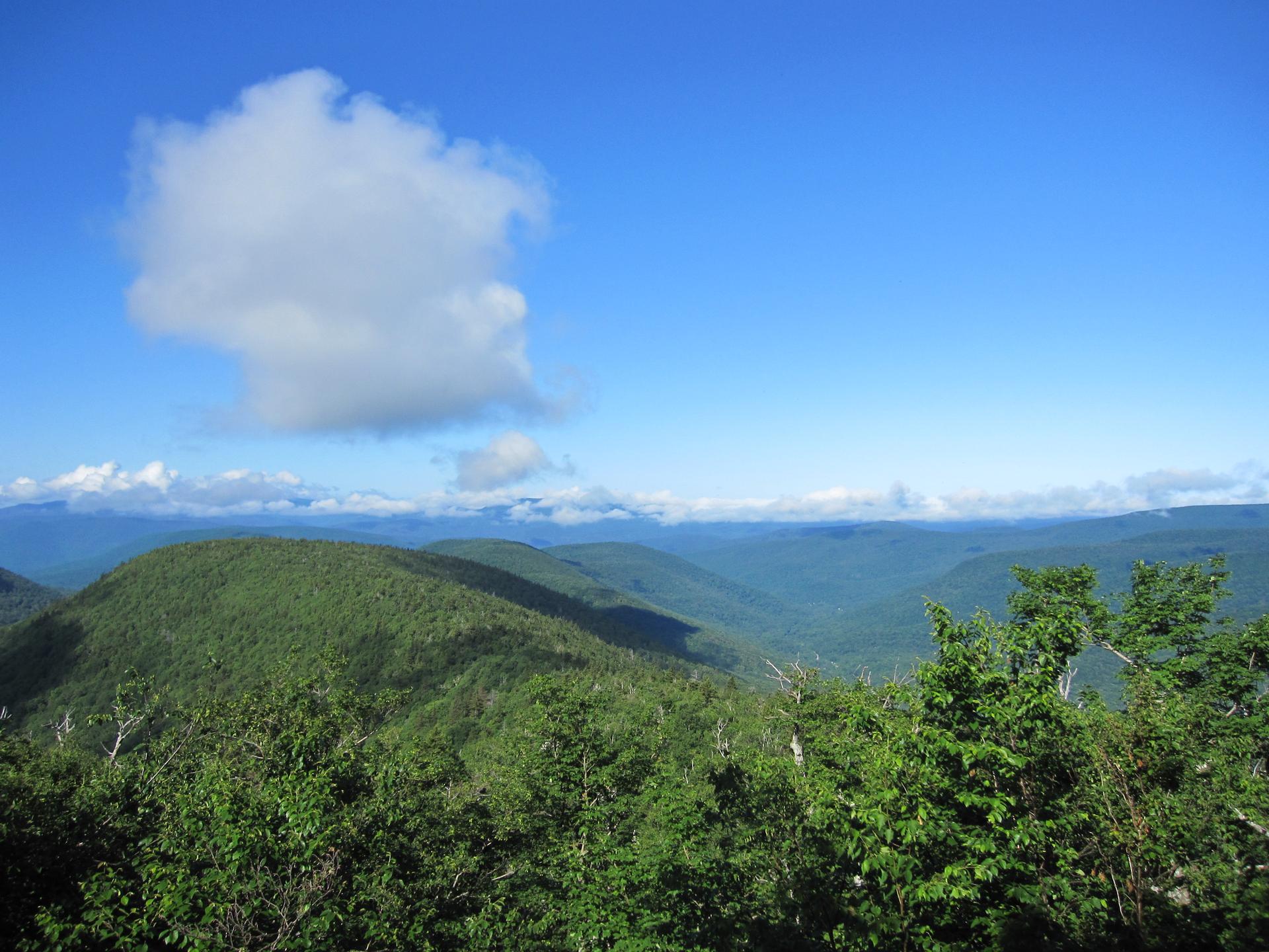 Bright blue sky over green forested mountains, with a large white cloud.