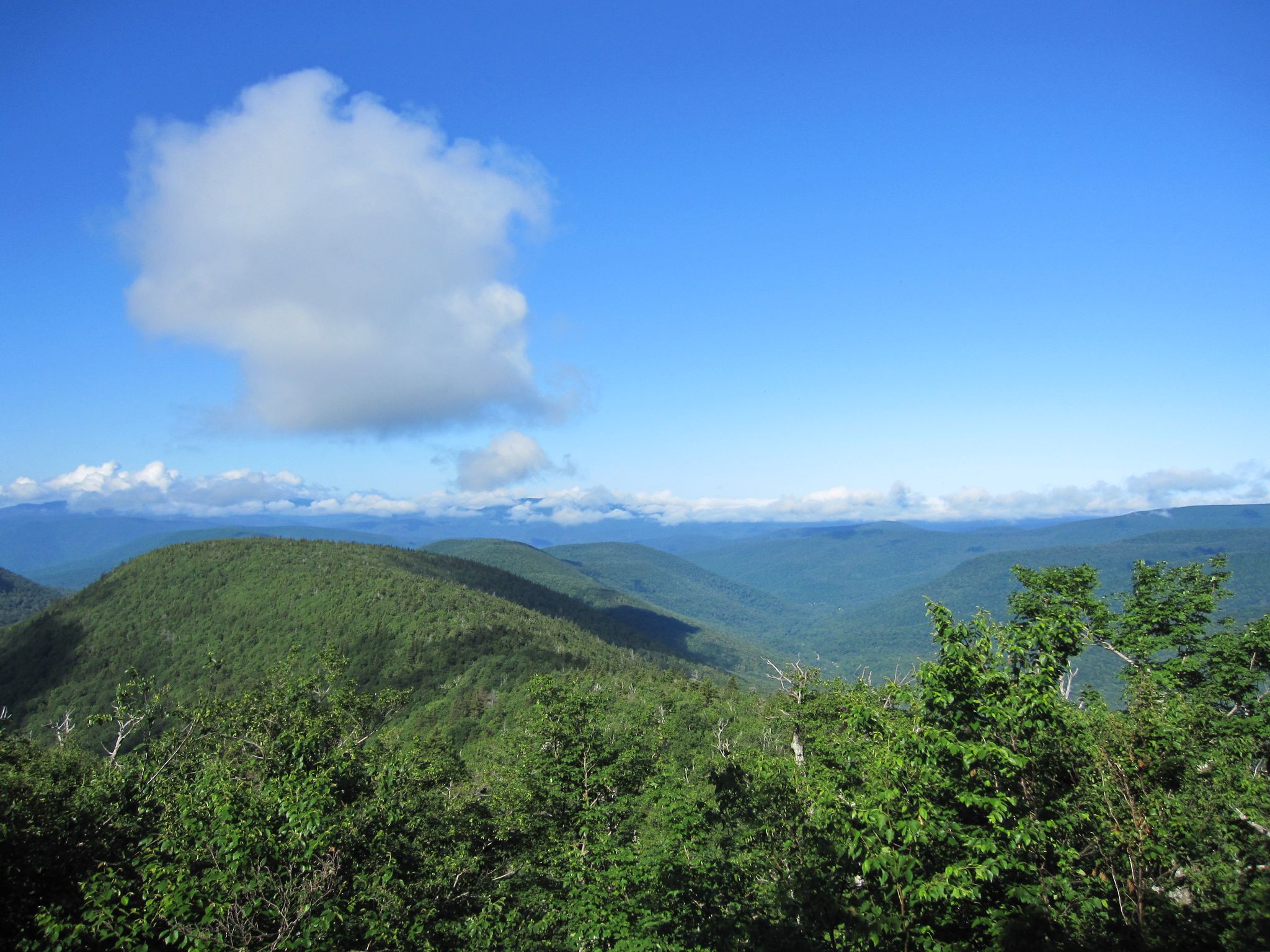 Bright blue sky over green forested mountains, with a large white cloud. - Indian Head, Twin, Sugarloaf, and Plateau via Devil's Path