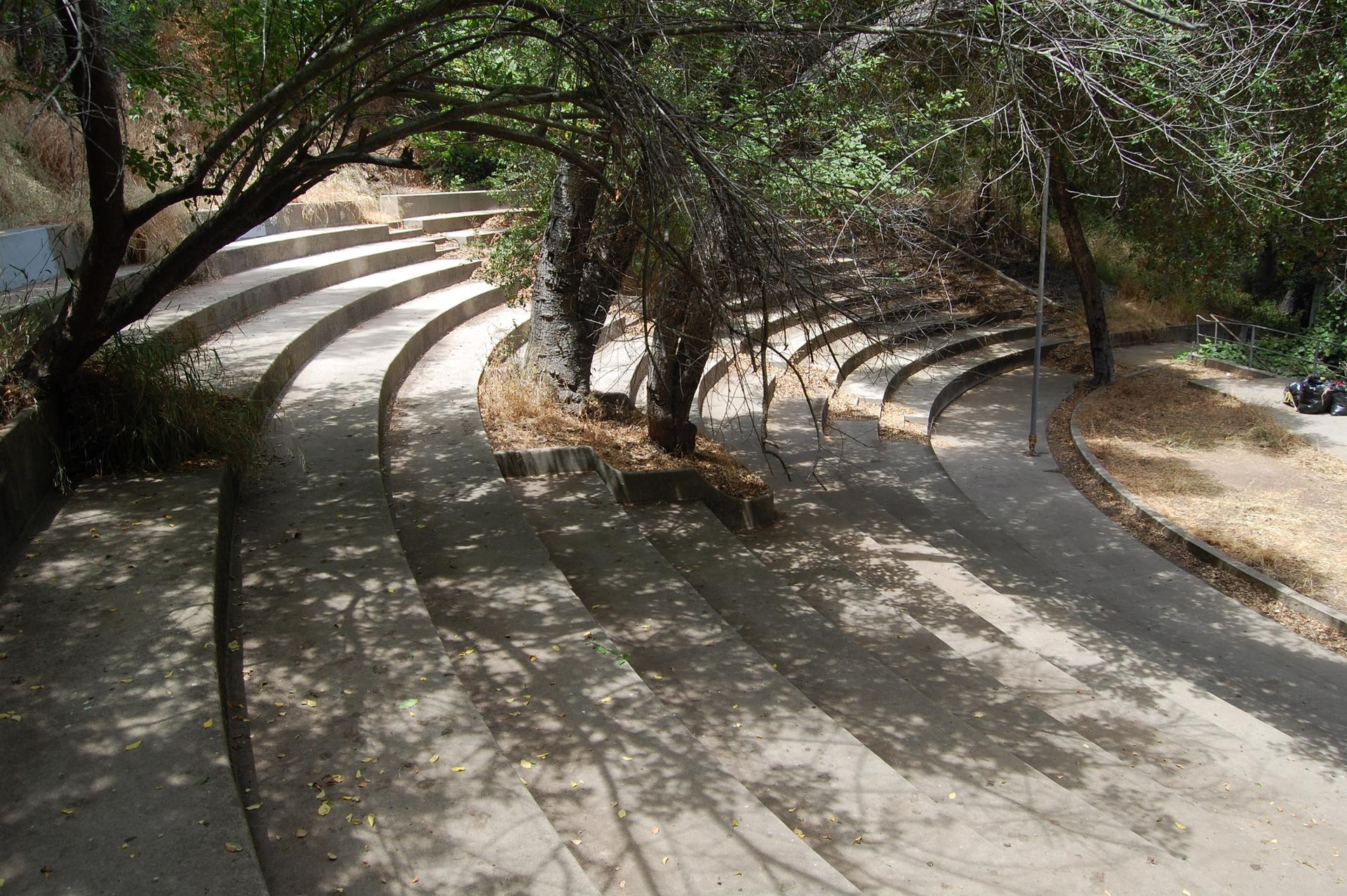 Curved concrete steps under dappled shade from large trees.