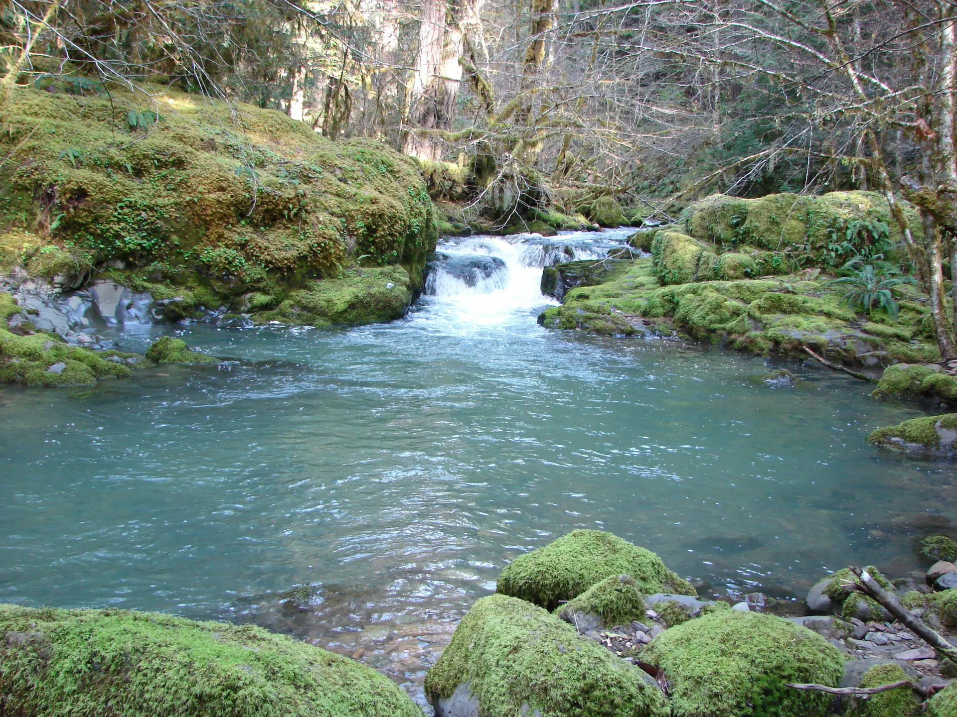 Clear blue-green stream flowing through moss-covered rocks in a bright forest.