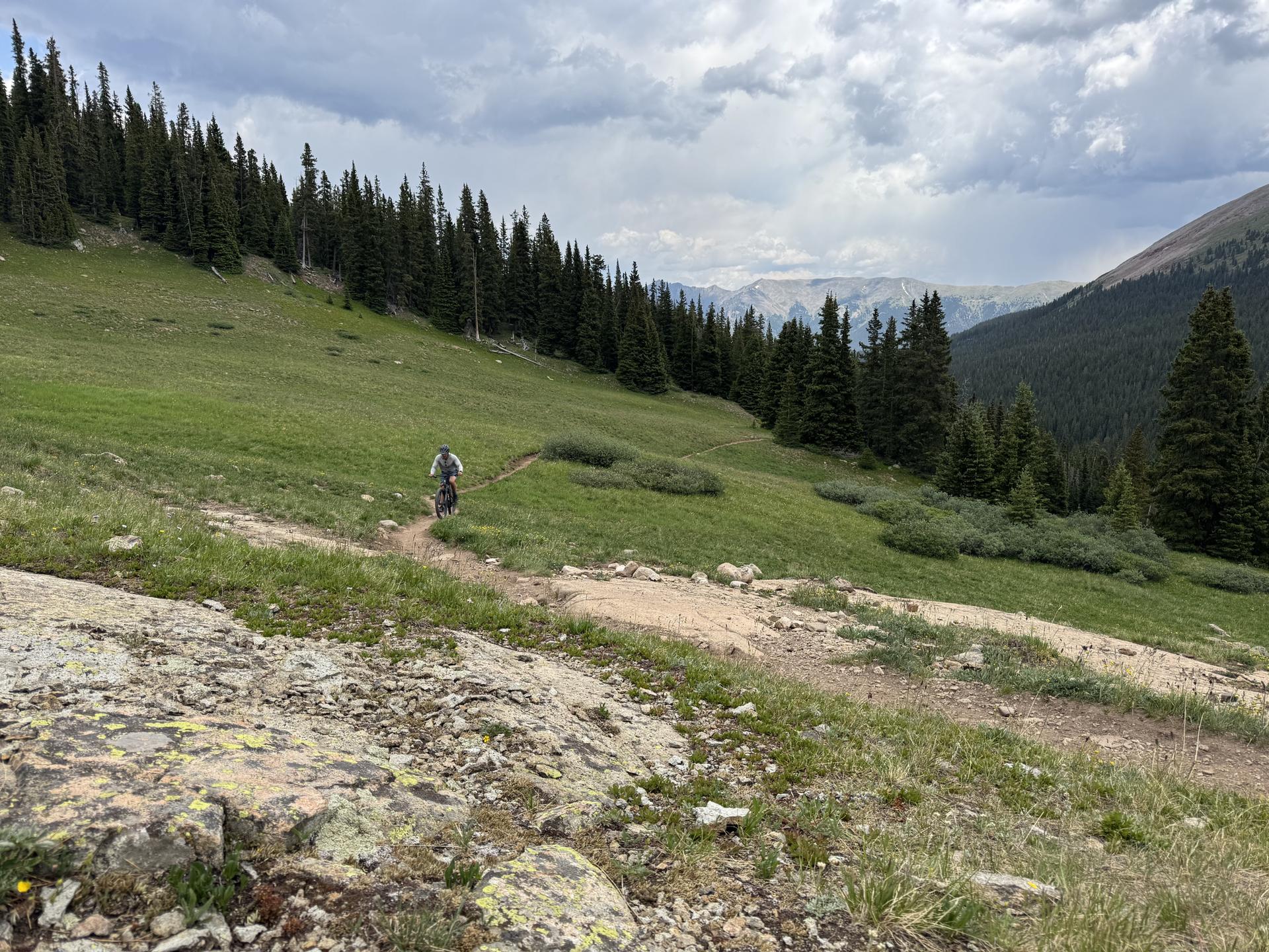 A mountain biker on a dirt trail, ascending a grassy slope under cloudy skies.
