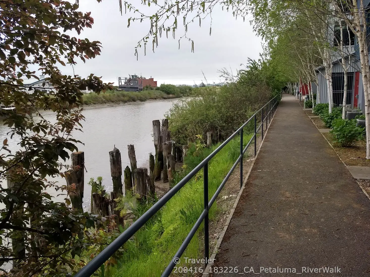 A paved path with a railing runs alongside a river with old wooden pilings.