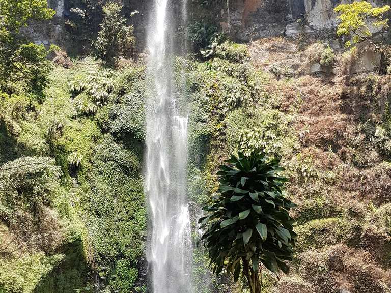 Coban Rondo Wasserfall: Wanderungen und Rundwege | komoot