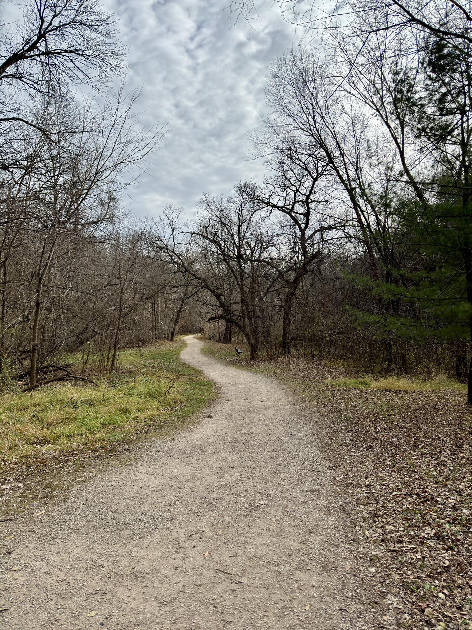 Winding dirt path through a bare winter forest under a cloudy sky.