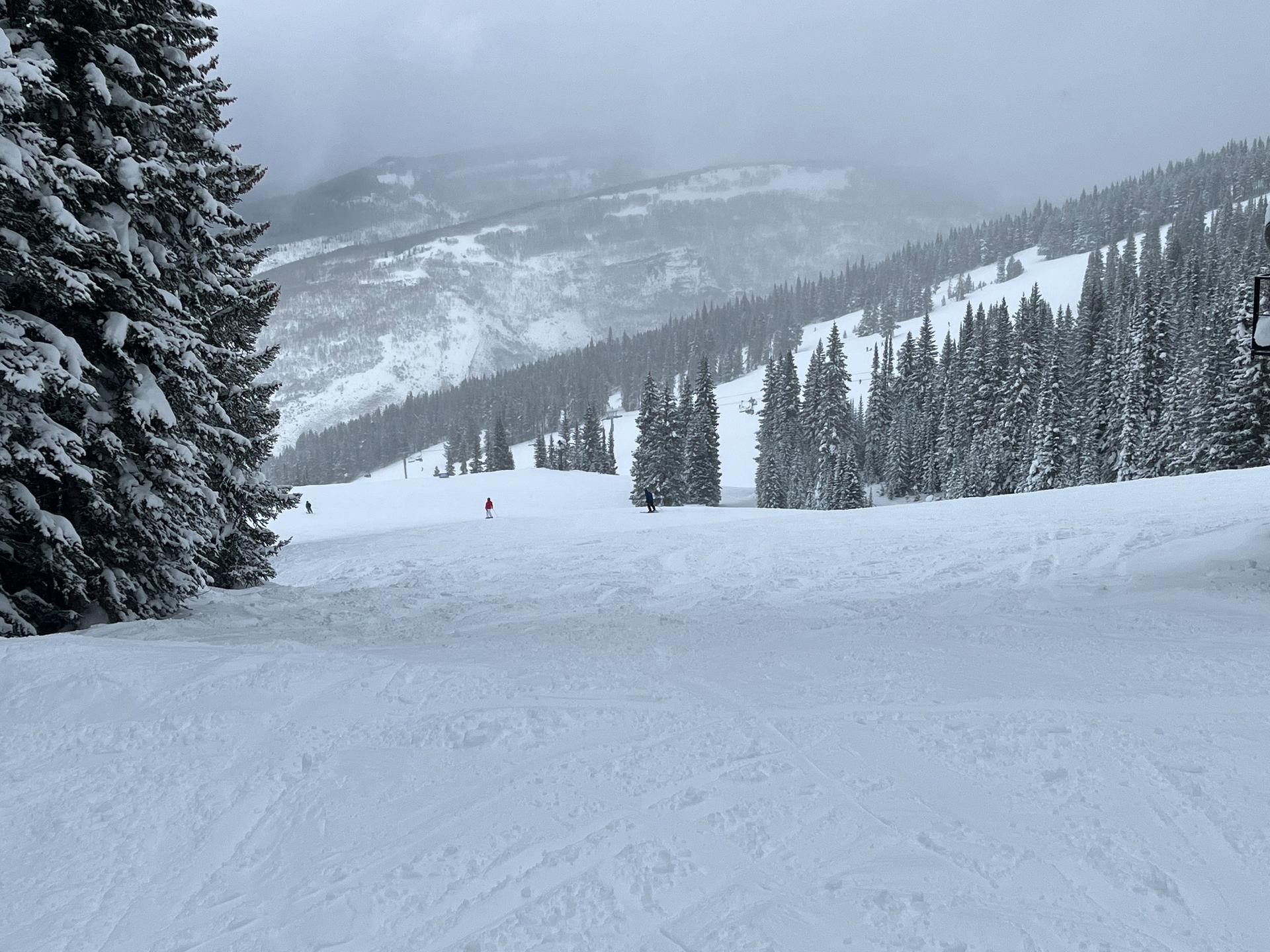 Skiers on a snowy slope with dense pine trees and distant mountains under overcast sky.