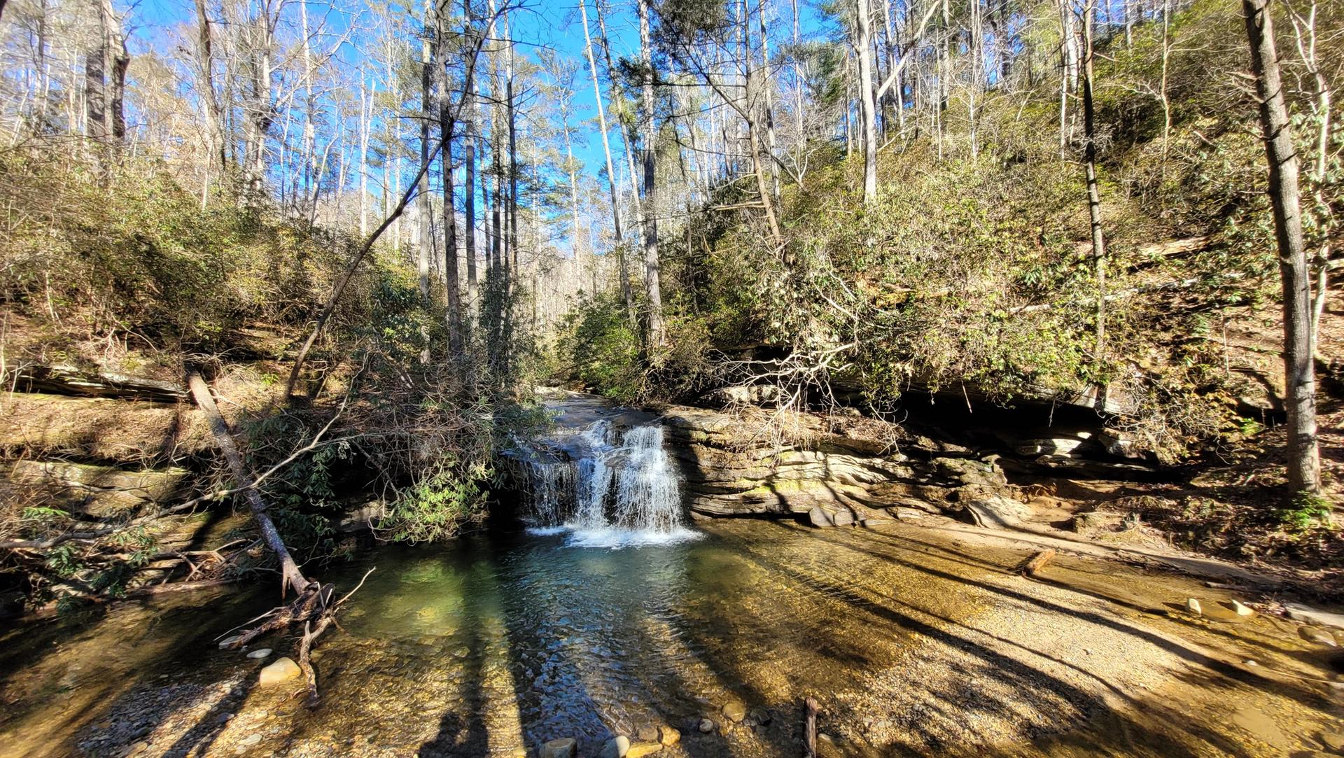 Small waterfall flowing into a shallow stream in a sun-drenched forest.