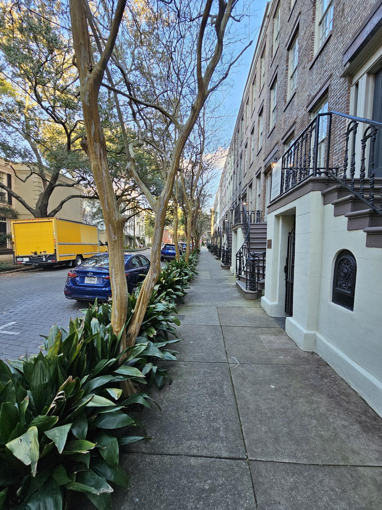 Sidewalk lined with trees and brick buildings, cars parked on the street.