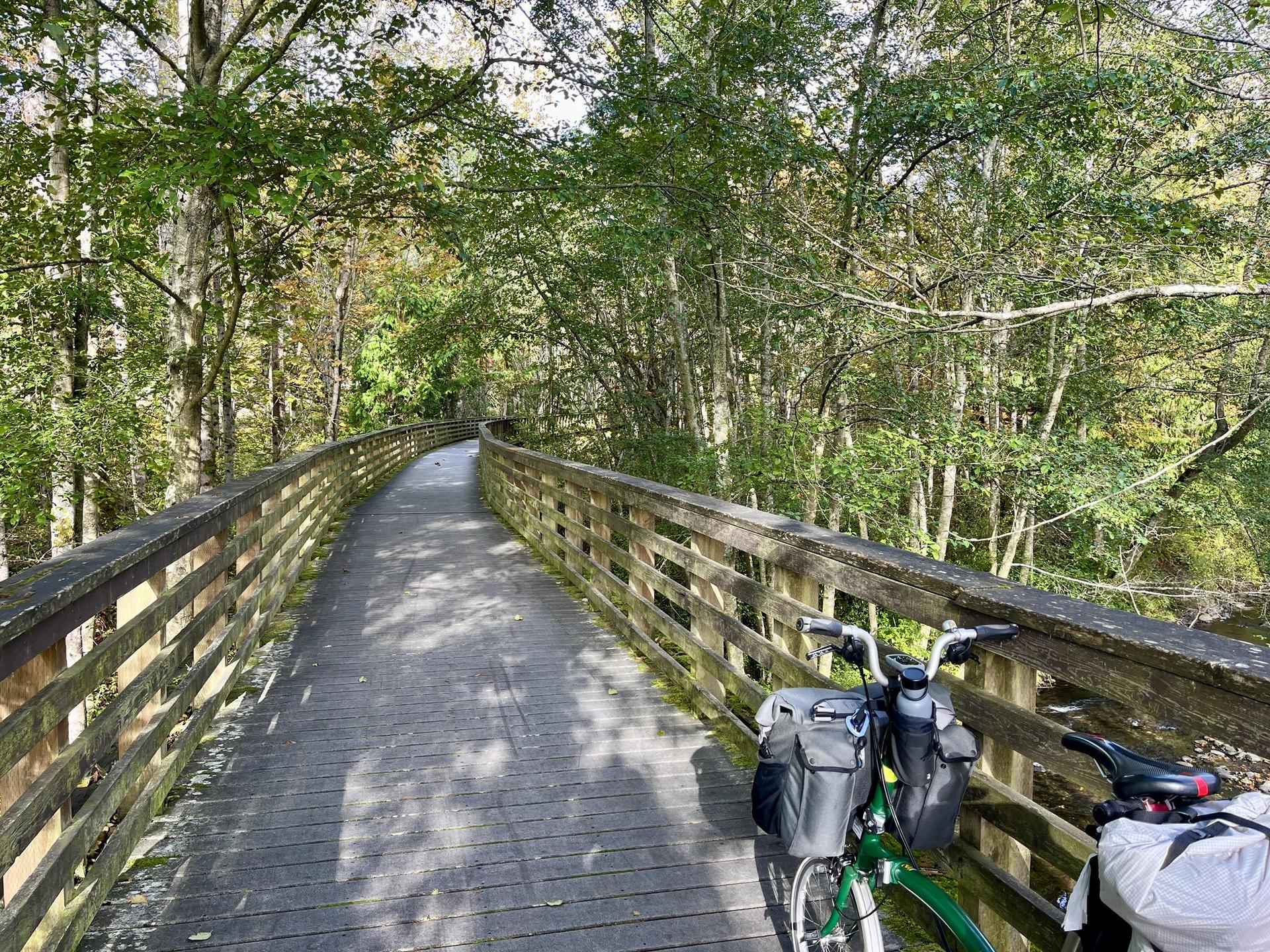 Bicycle parked on a wooden boardwalk winding through a sunlit green forest.