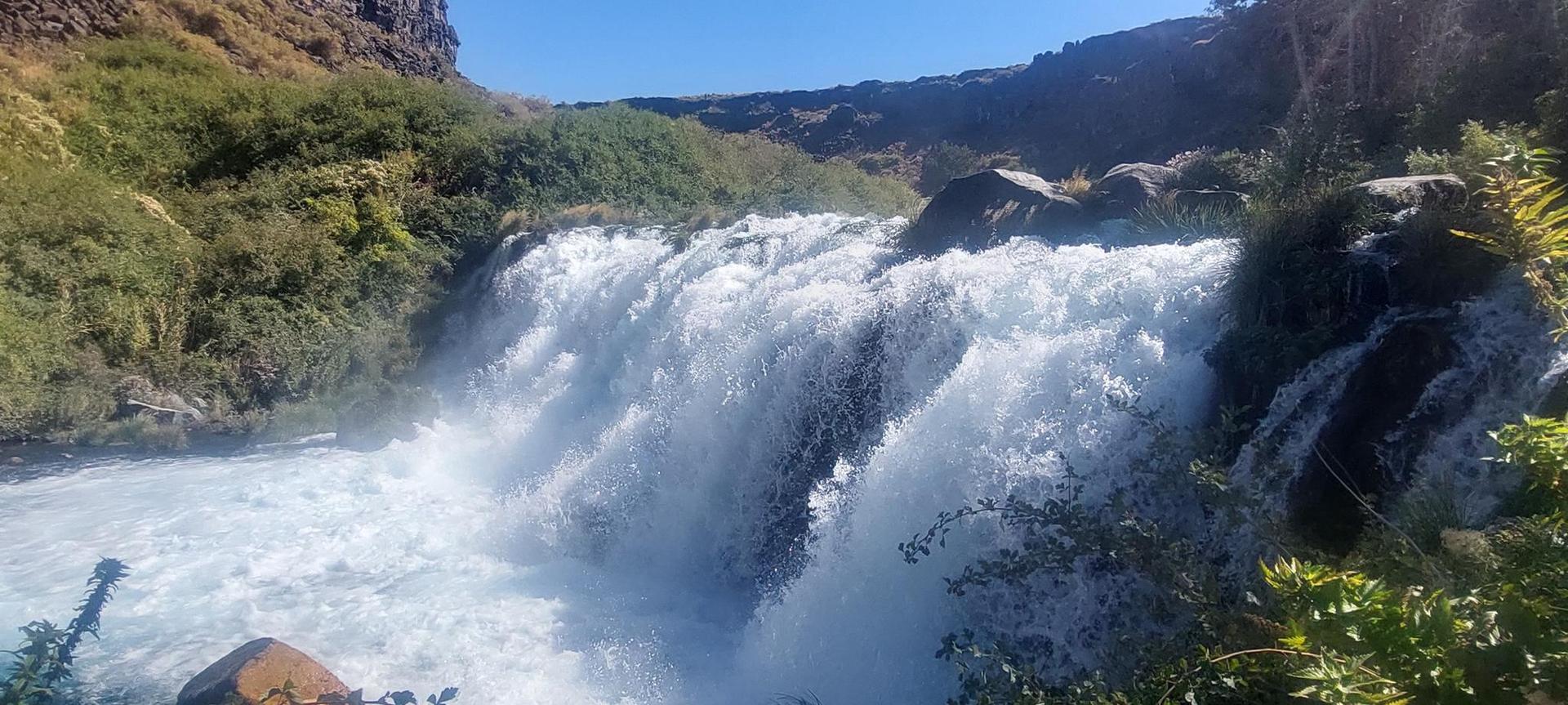 Close-up of a powerful waterfall with white foamy water, lush green plants.