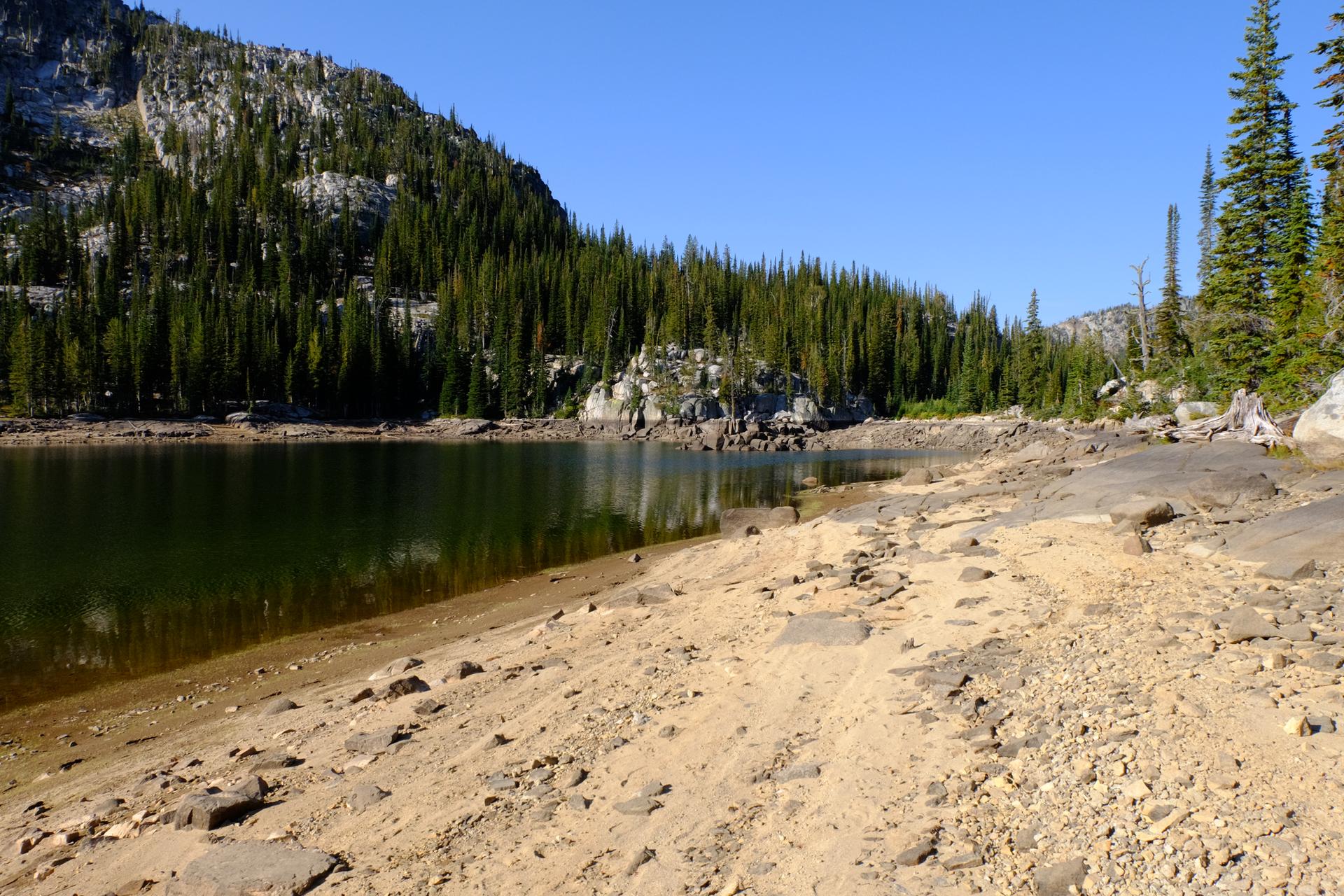 Sunny lake shore with a sandy beach, bordered by a dense pine forest.