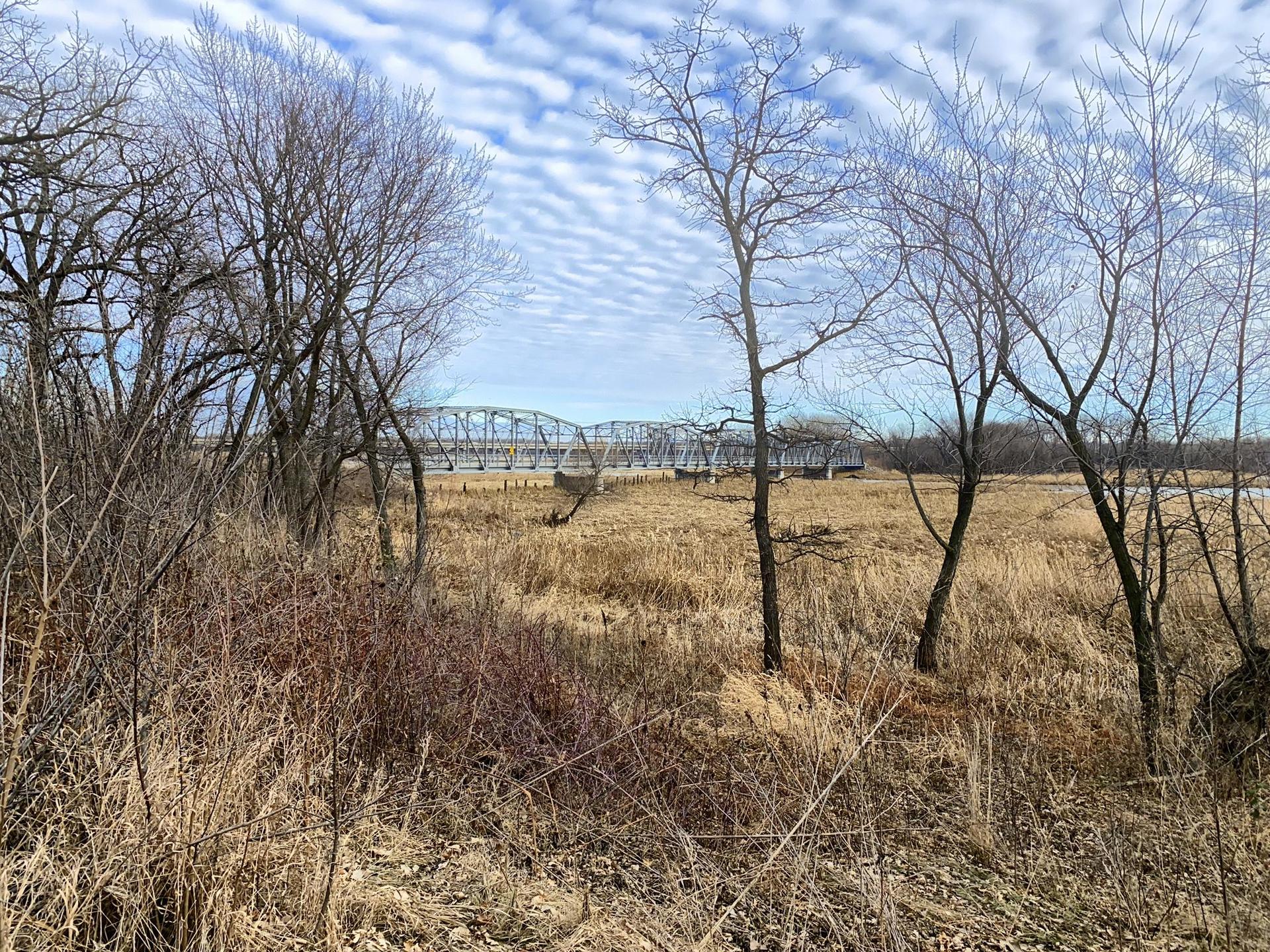 A distant metal bridge is visible through bare trees and dry grass.