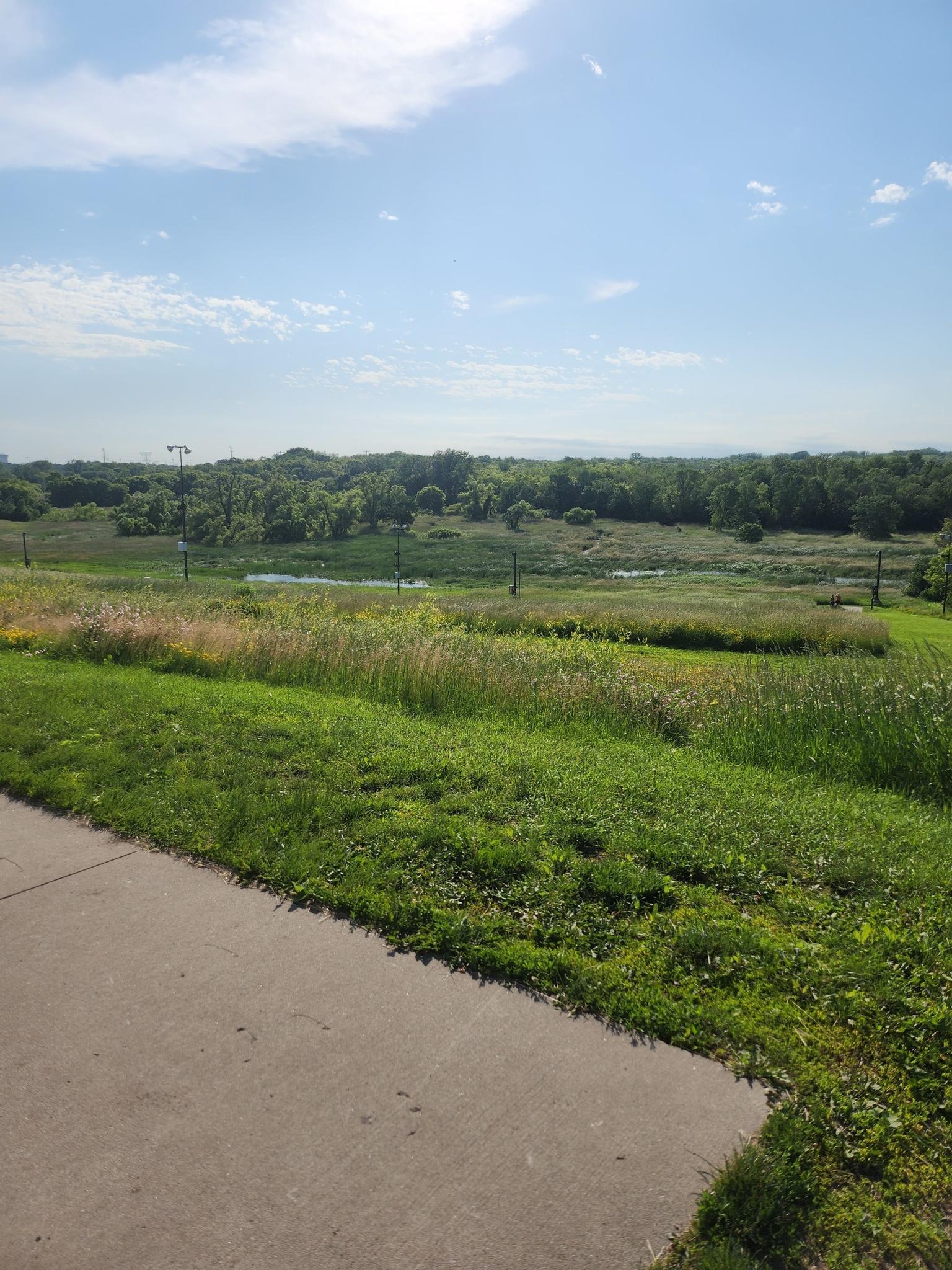 Paved path overlooking a vast green landscape with distant trees under a bright sky.