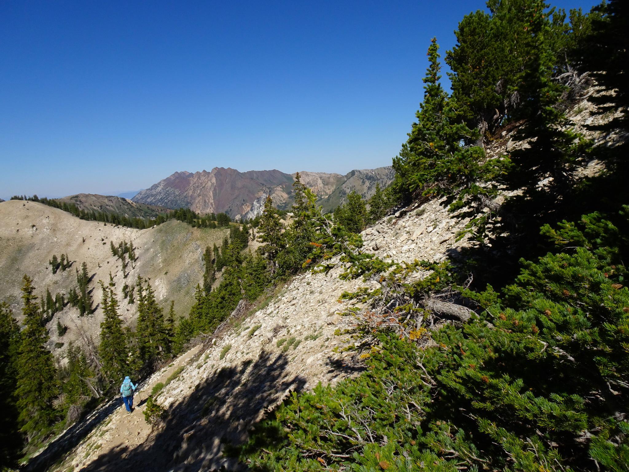 Hiker on a sunny, rocky mountain trail with pine trees and distant peaks.