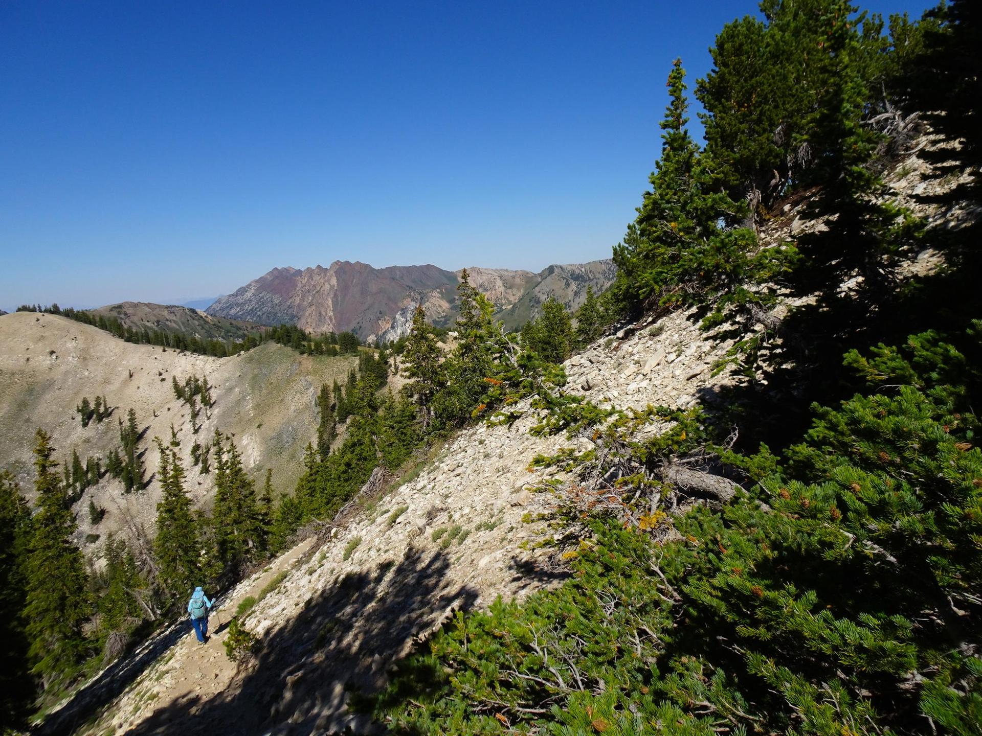 Hiker on a sunny, rocky mountain trail with pine trees and distant peaks.