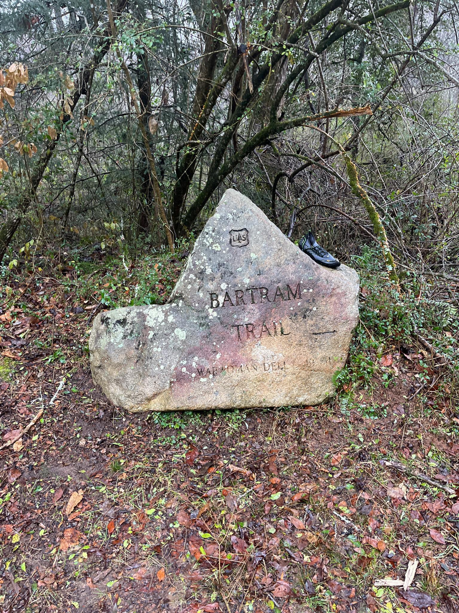 A large mossy rock with an inscription and a shoe in a bare forest.