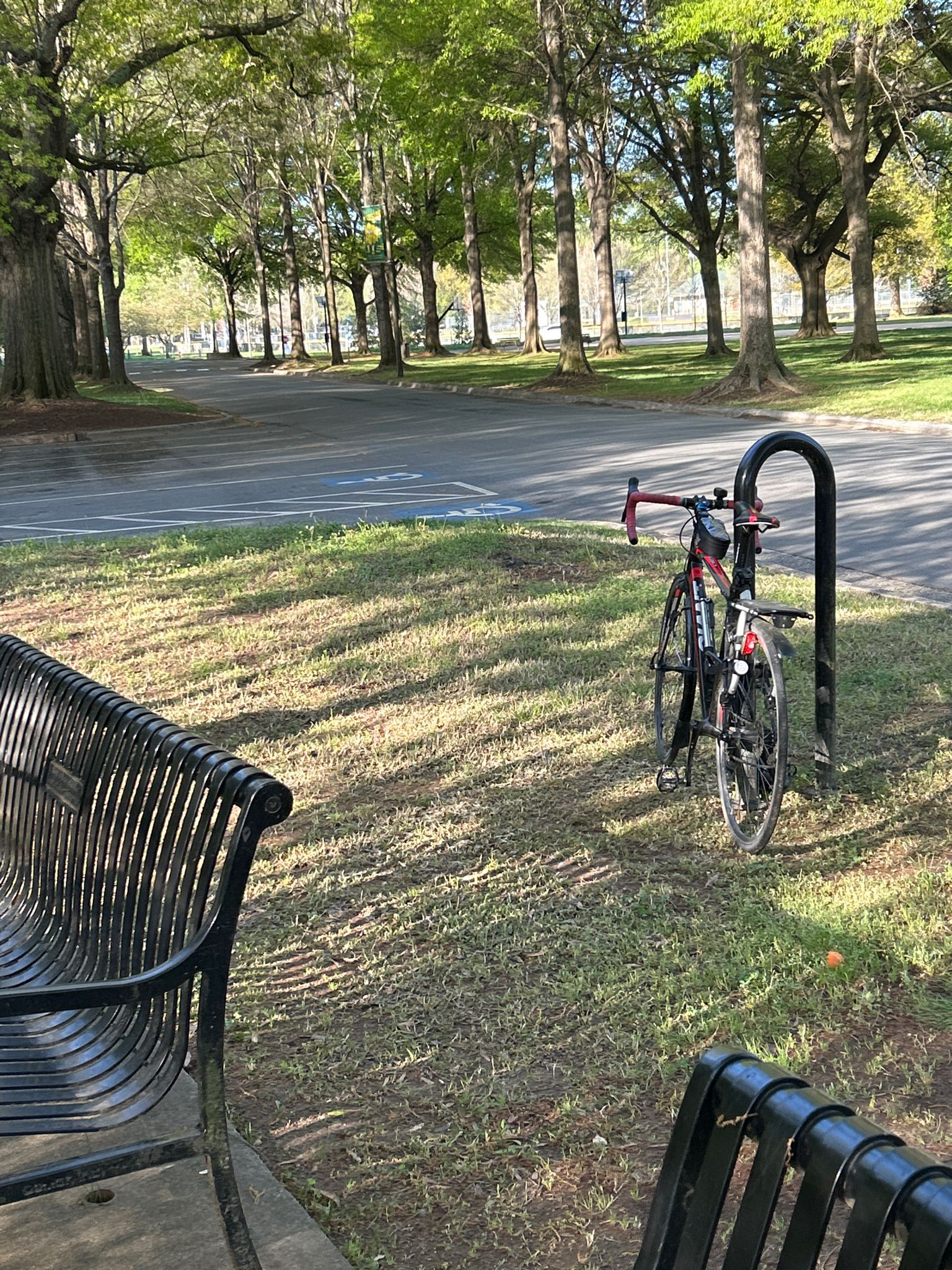 A red bicycle parked at a rack next to park benches on a sunny day. - Freedom Park – Charlotte Cycles loop from 3rd Street/Convention Center