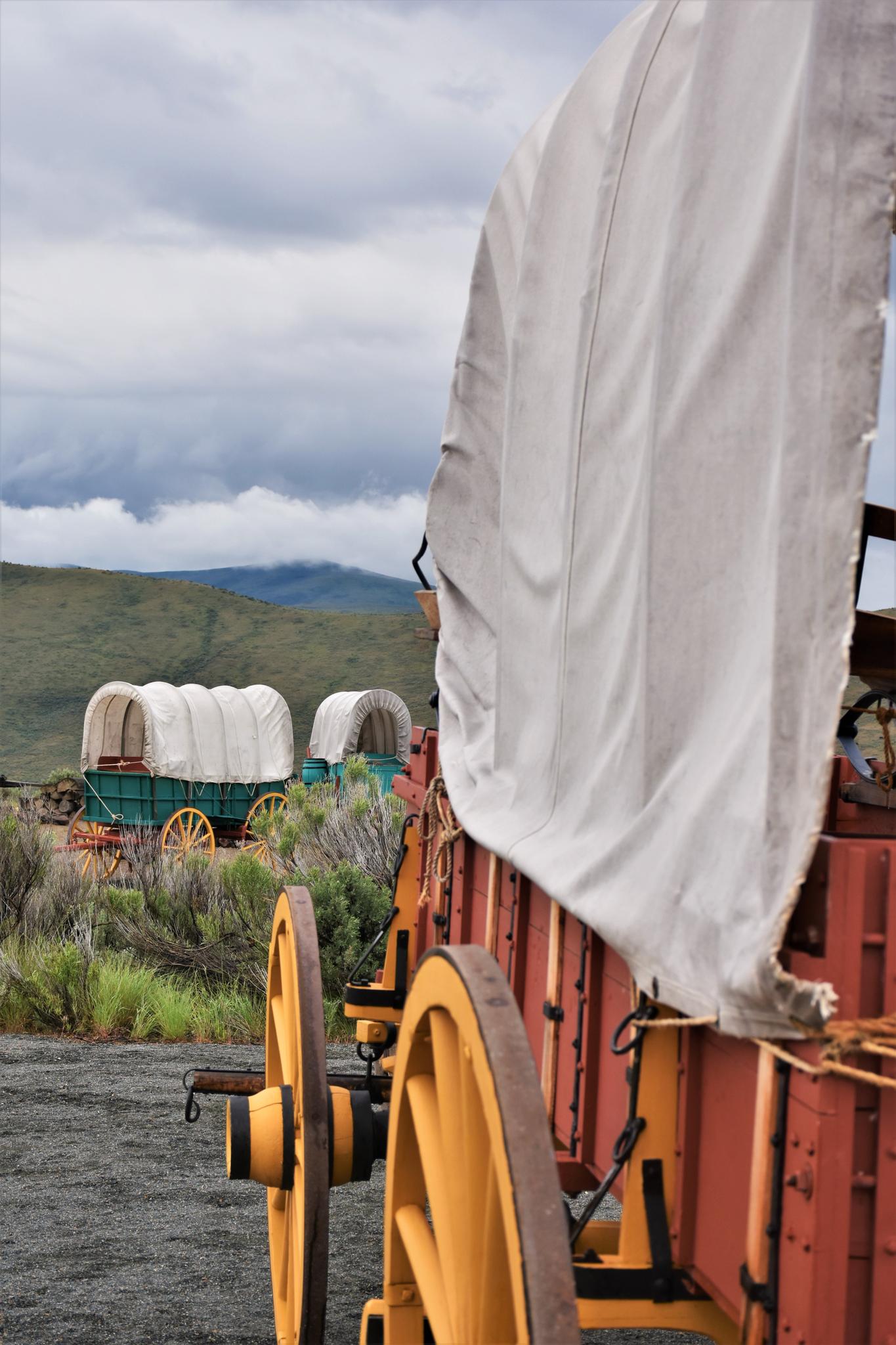 Several covered wagons in a dry landscape under a cloudy sky.