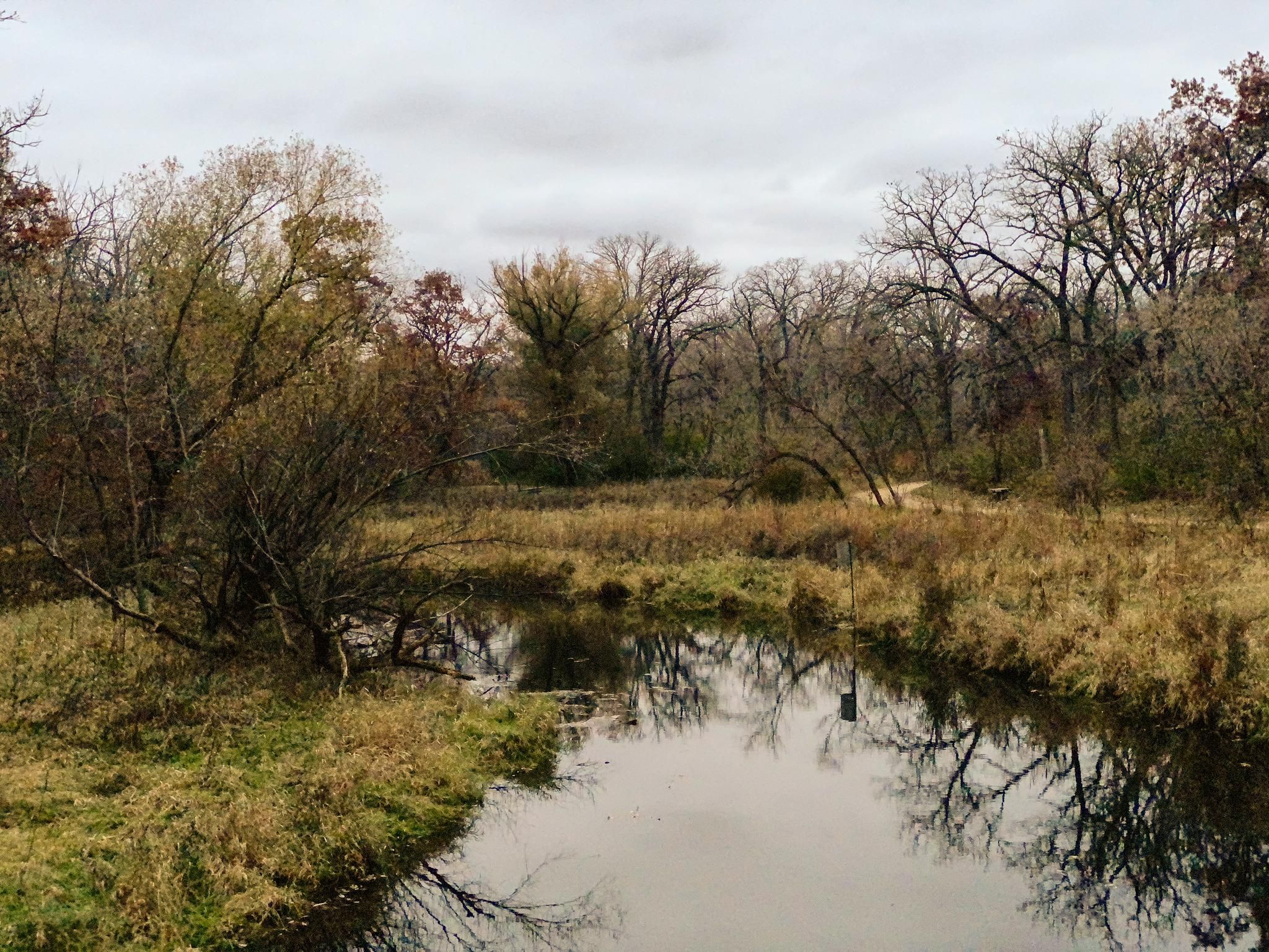 A still pond reflects bare trees and dry grass under an overcast autumn sky. - Minnetonka Loop Trail