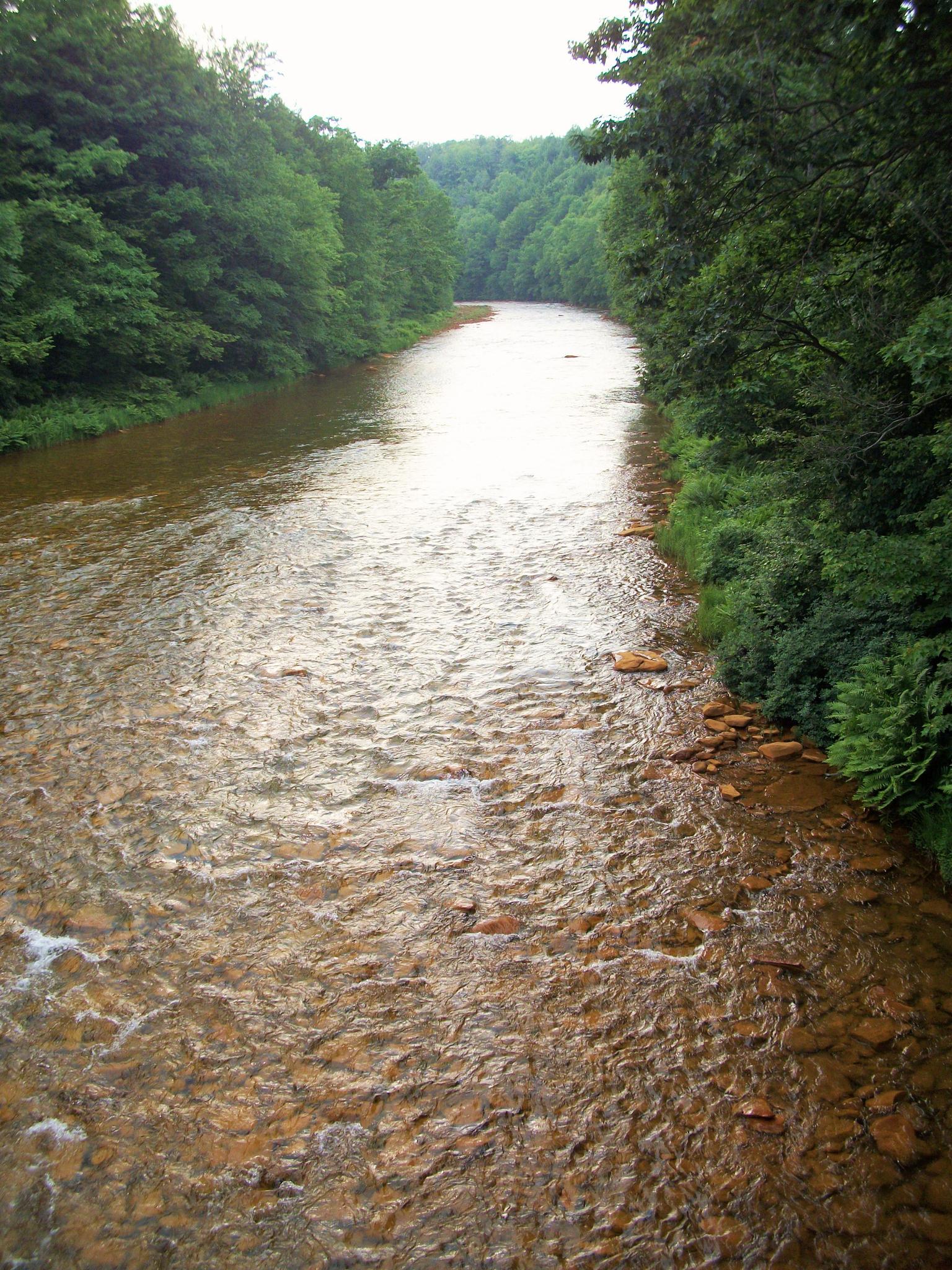 A wide, calm river flows between dense green forested banks under an overcast sky.