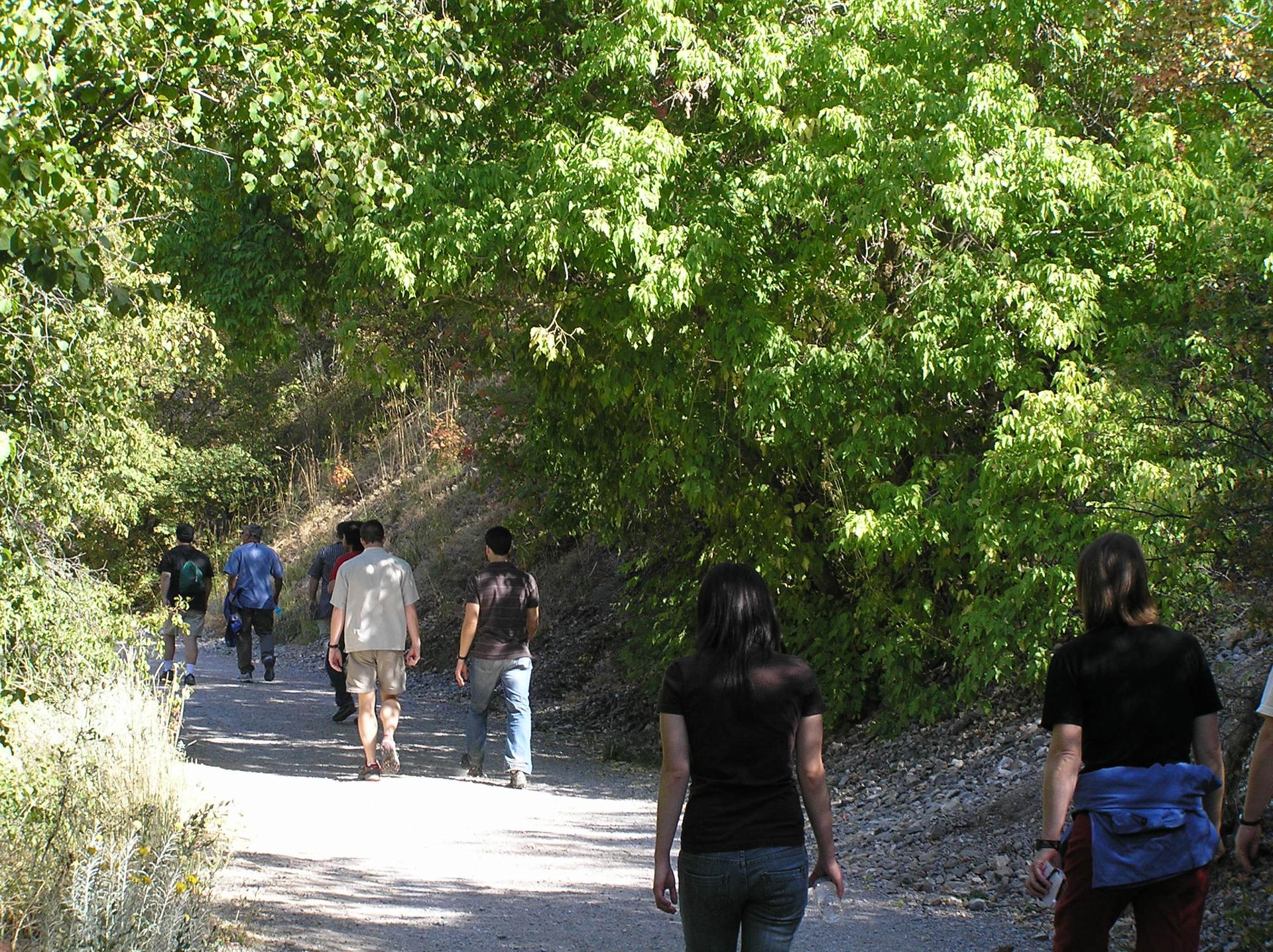A group of people walk on a sunny path surrounded by green trees.