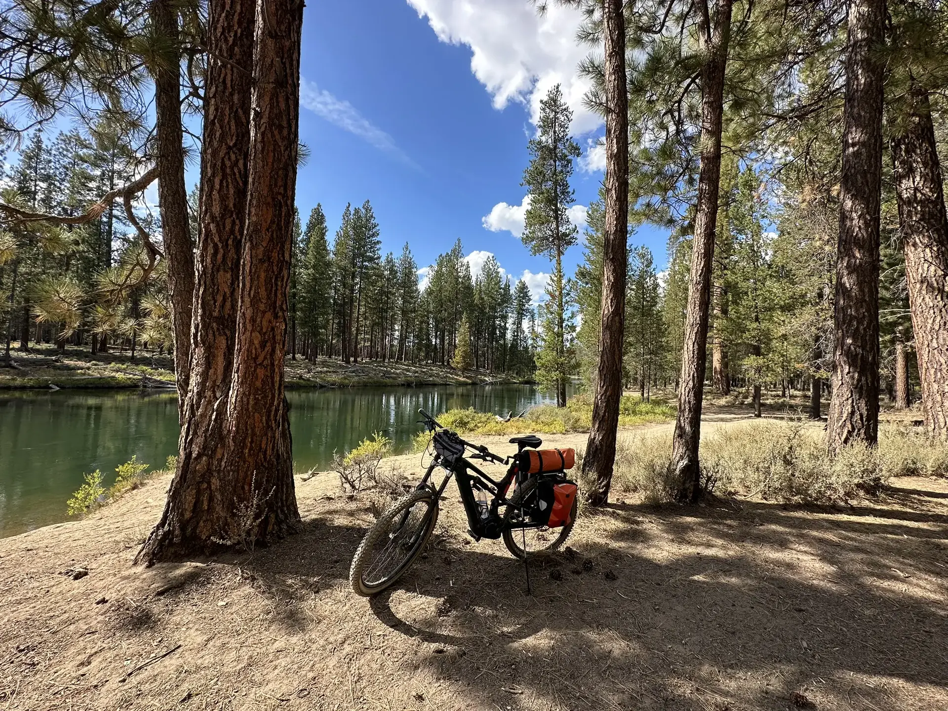 A touring bicycle with gear rests on a sunny, forested riverbank.