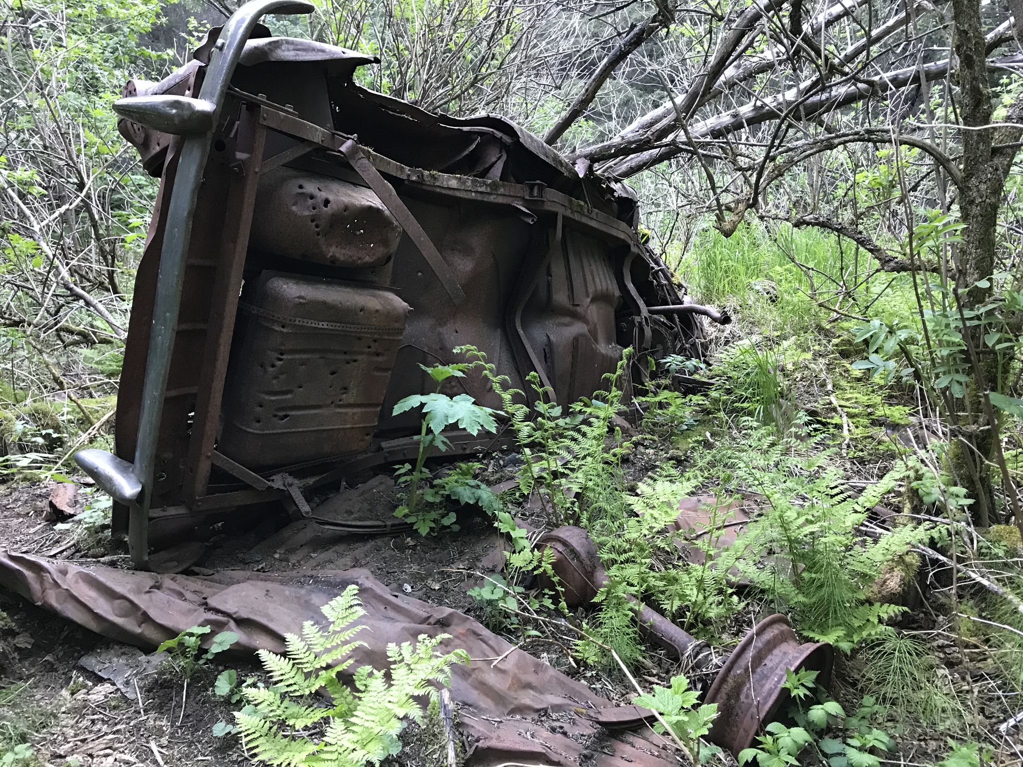 Rusted, overturned vehicle abandoned in an overgrown, shaded forest environment. - Two Lakes Trail