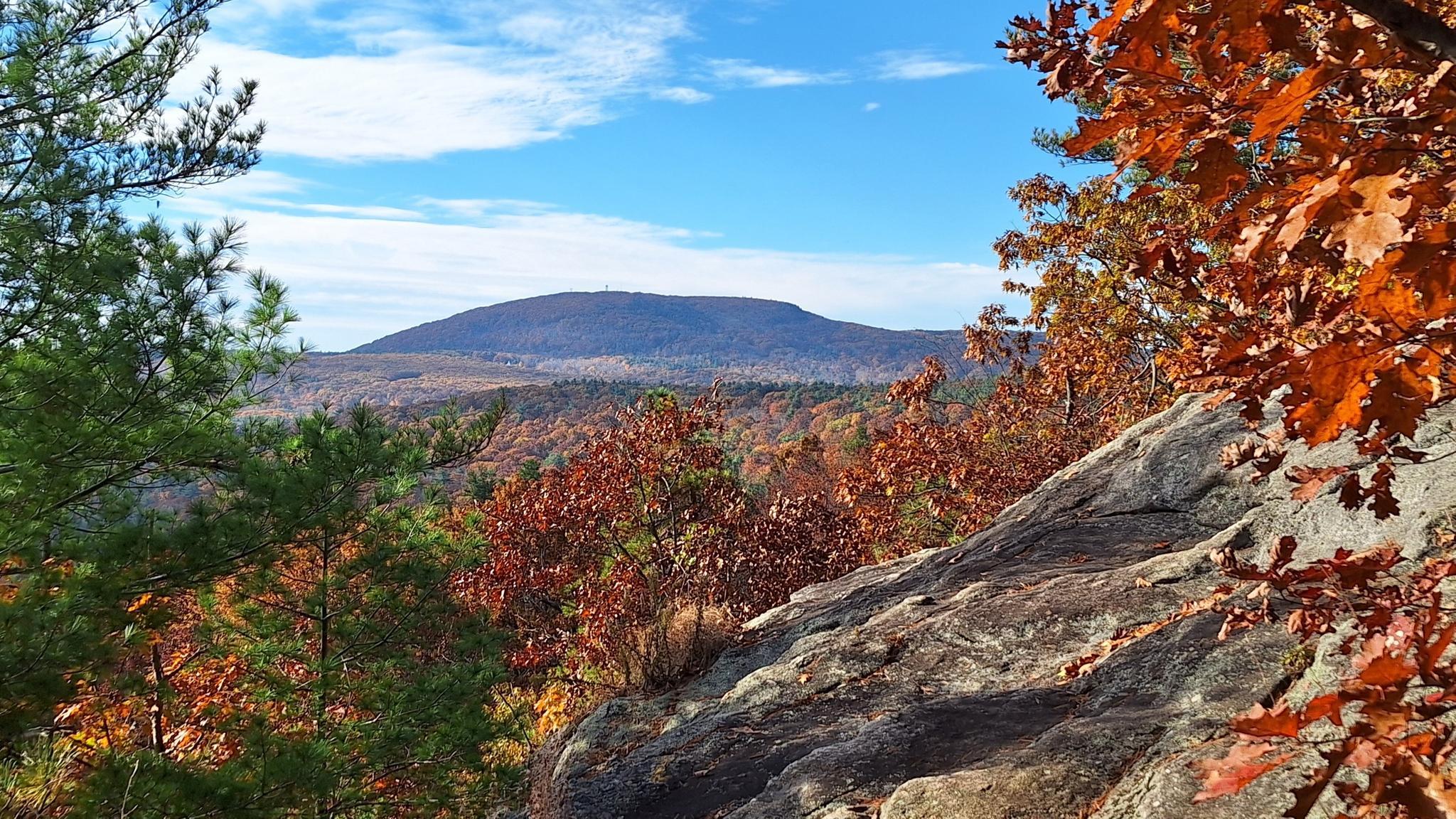Sunny autumn mountain vista with vibrant fall foliage and rocky foreground.