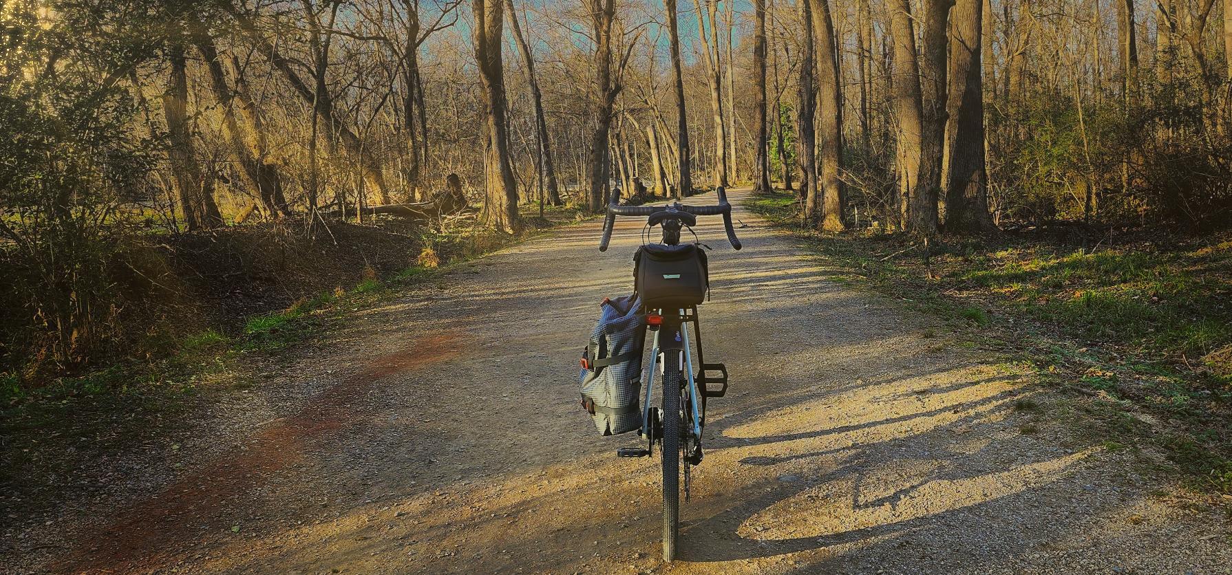 Rear view of a bicycle on a sunlit gravel path through bare trees.