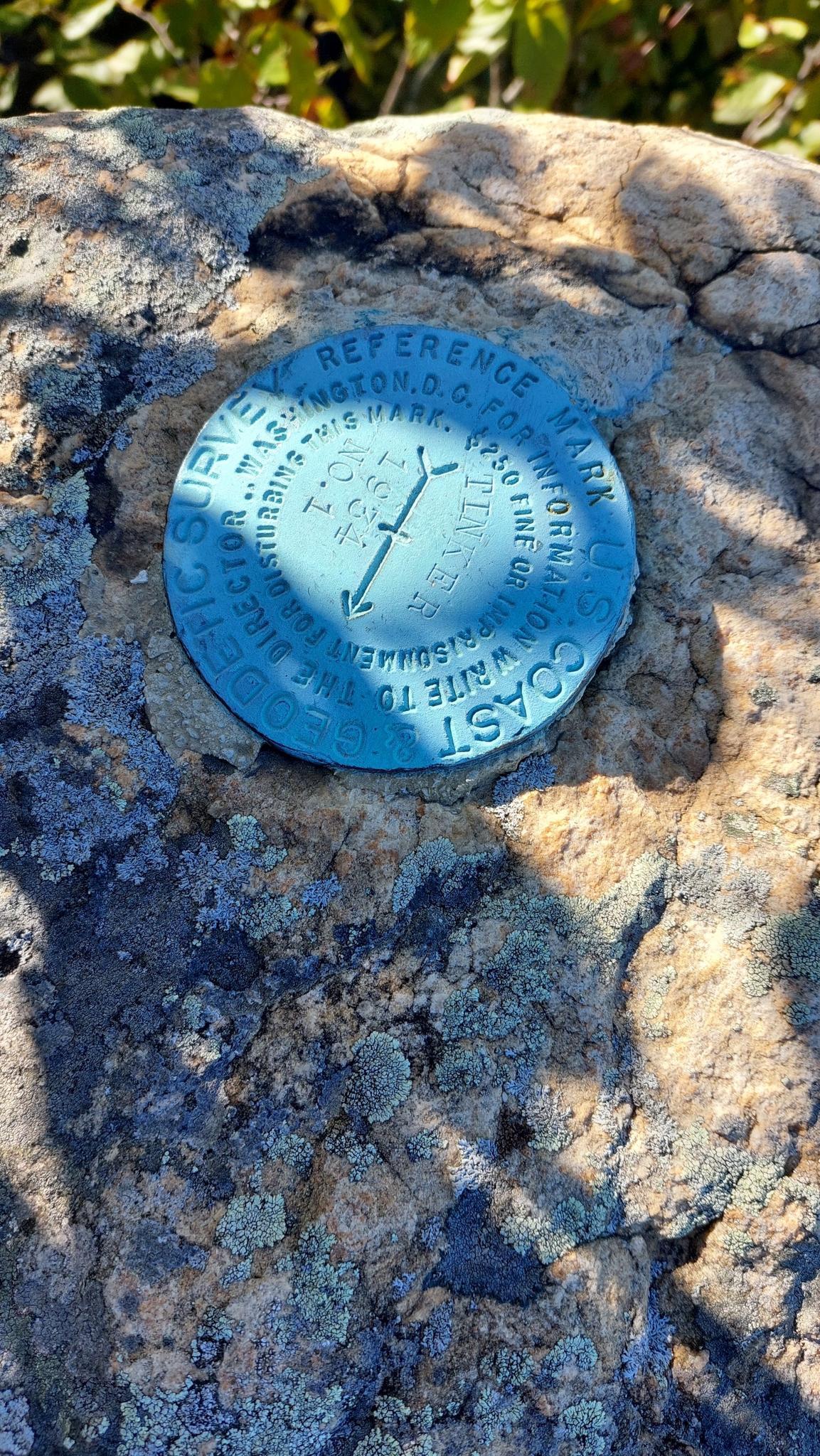 Close-up of a blue survey marker embedded in a lichen-covered rock.
