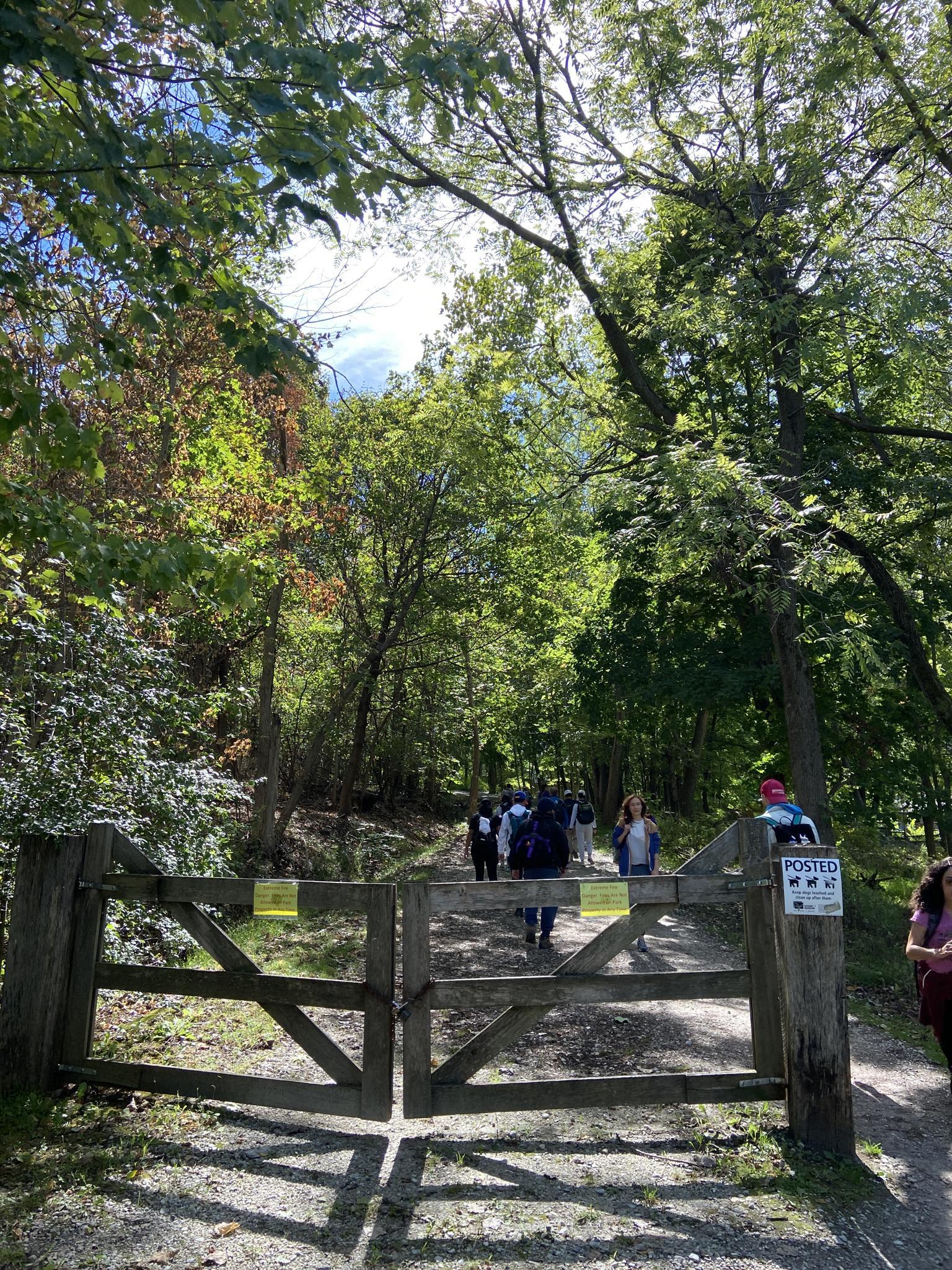 A group of people walk past a wooden gate on a sunny forest path.