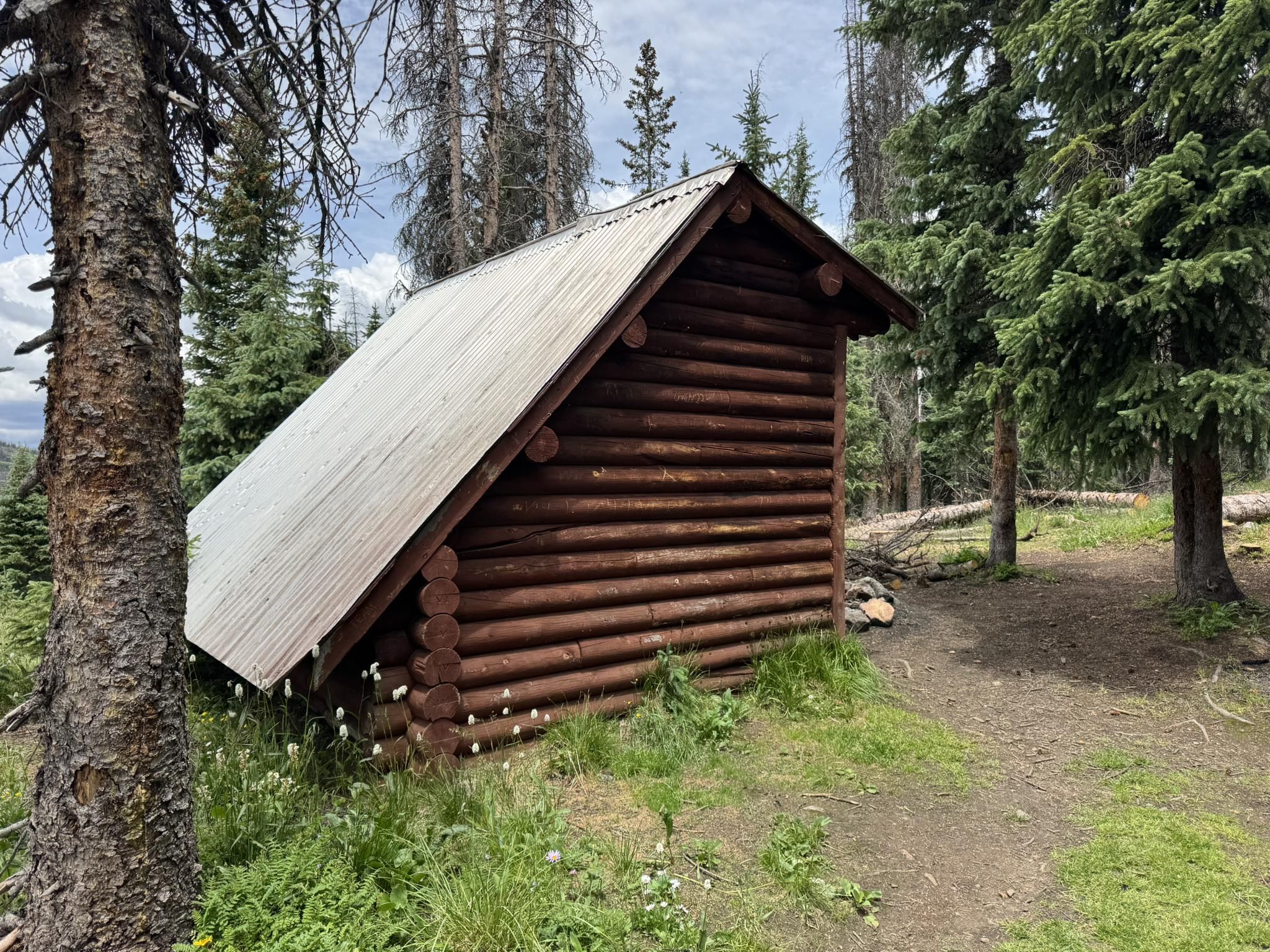 Rustic log cabin nestled among tall pine trees on an overcast day. - Monarch Crest Trail