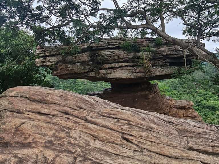 Umbrella Rock – Wanderungen & Anfahrt | Komoot