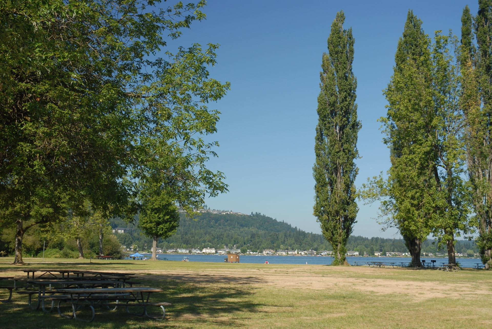 Sunny park with tall trees, picnic tables, overlooking a lake and hills.