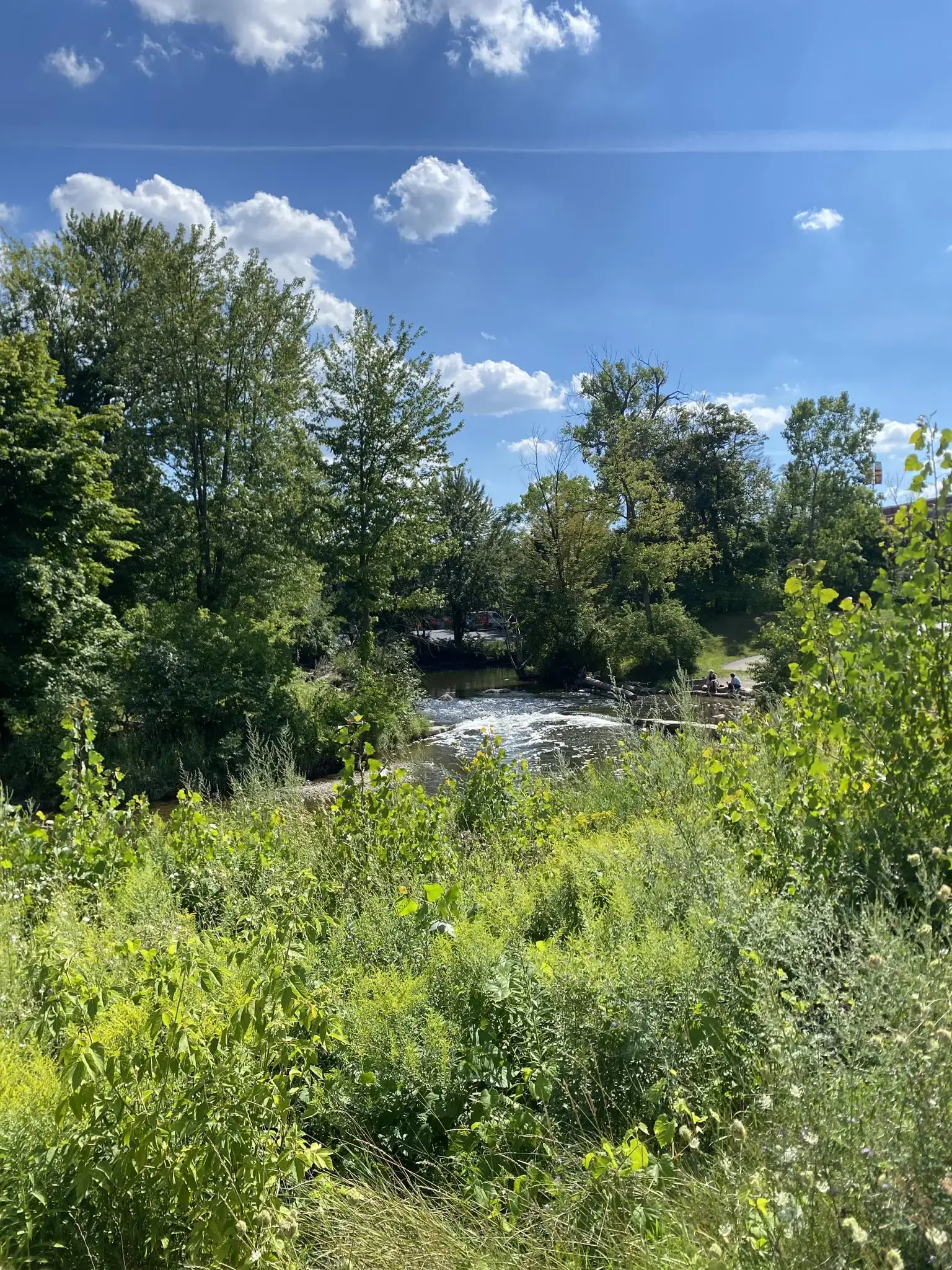 A winding river flows through lush green trees under a bright, cloudy sky.