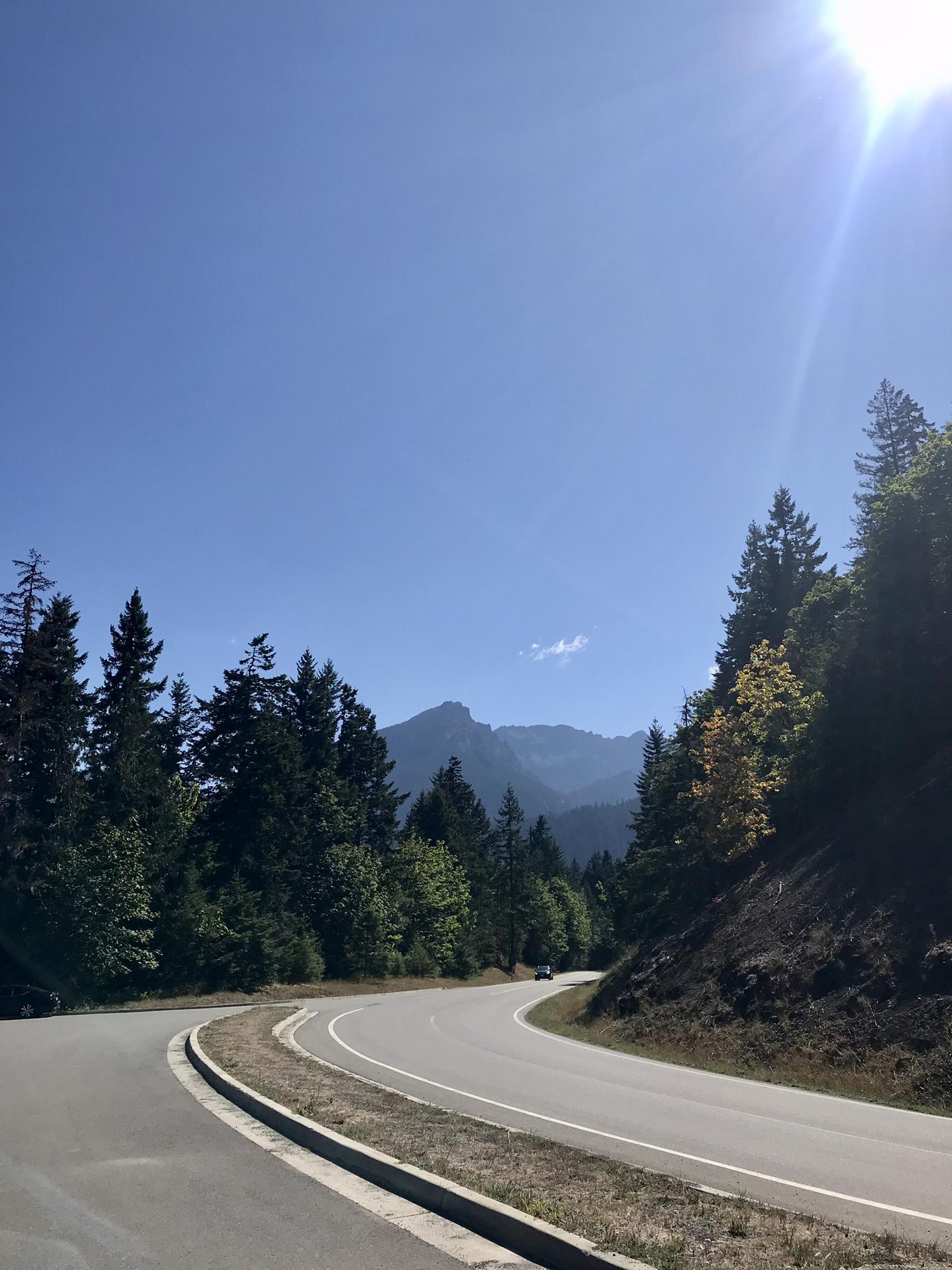 A winding road through dense forest with distant mountains under a bright sun.