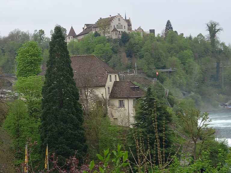 Parking aux chutes du Rhin – Randonnées & Comment s'y rendre | Komoot