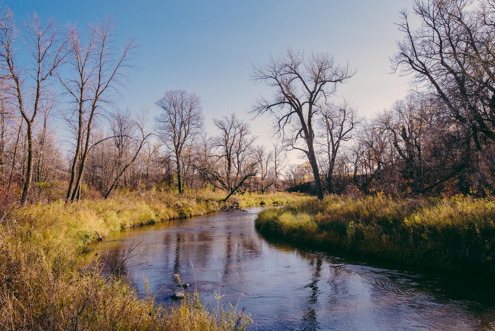 A winding river flows through a landscape of bare trees and golden grass.