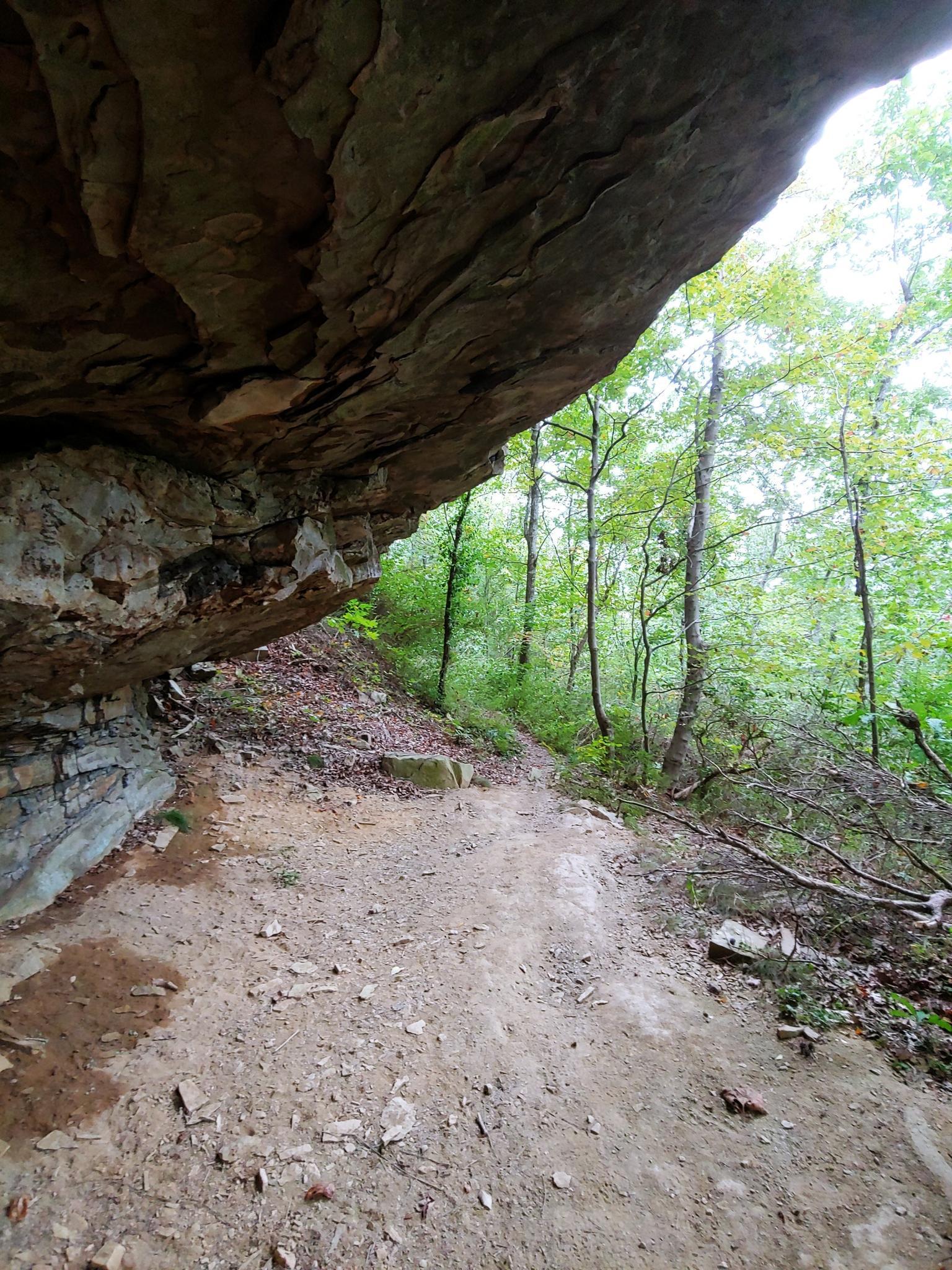 A dirt path leads under a large rock overhang into a green forest.