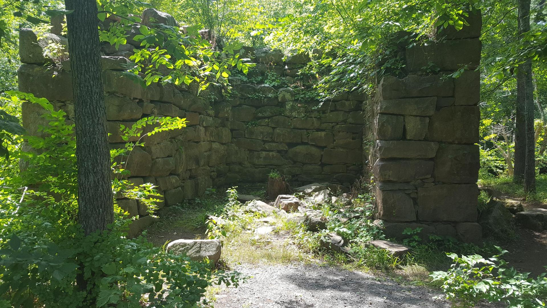 Ancient stone ruins stand amidst lush green forest in dappled sunlight.