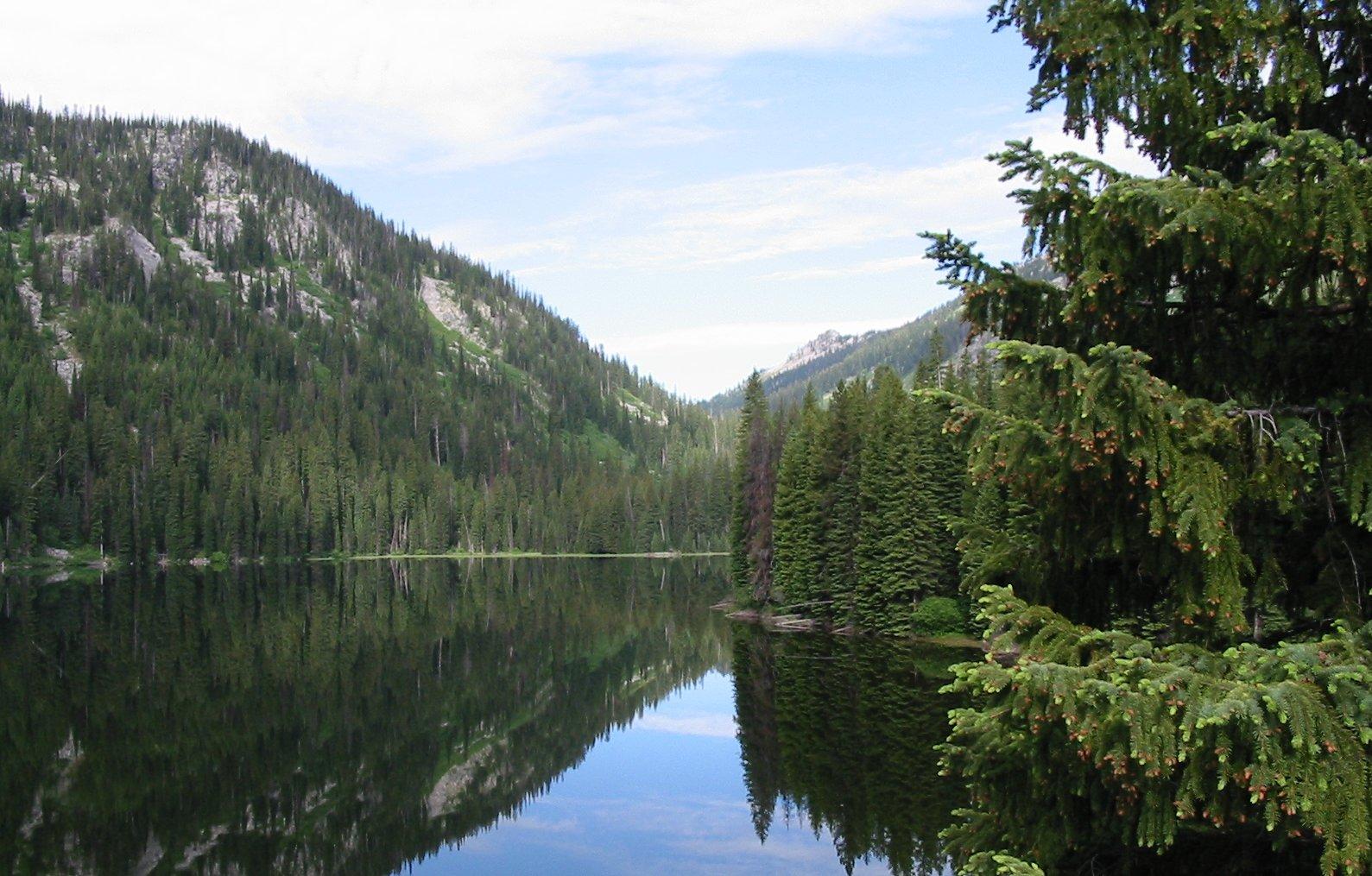 Calm mountain lake reflecting forested slopes under a bright, clear sky.