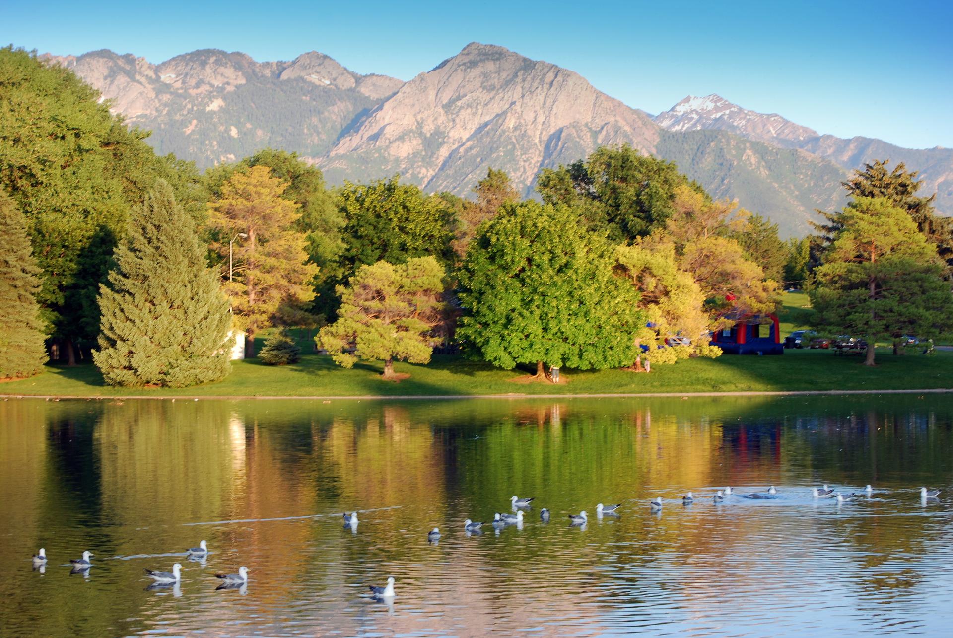 A clear lake with ducks, reflecting colorful trees and sunlit mountains.