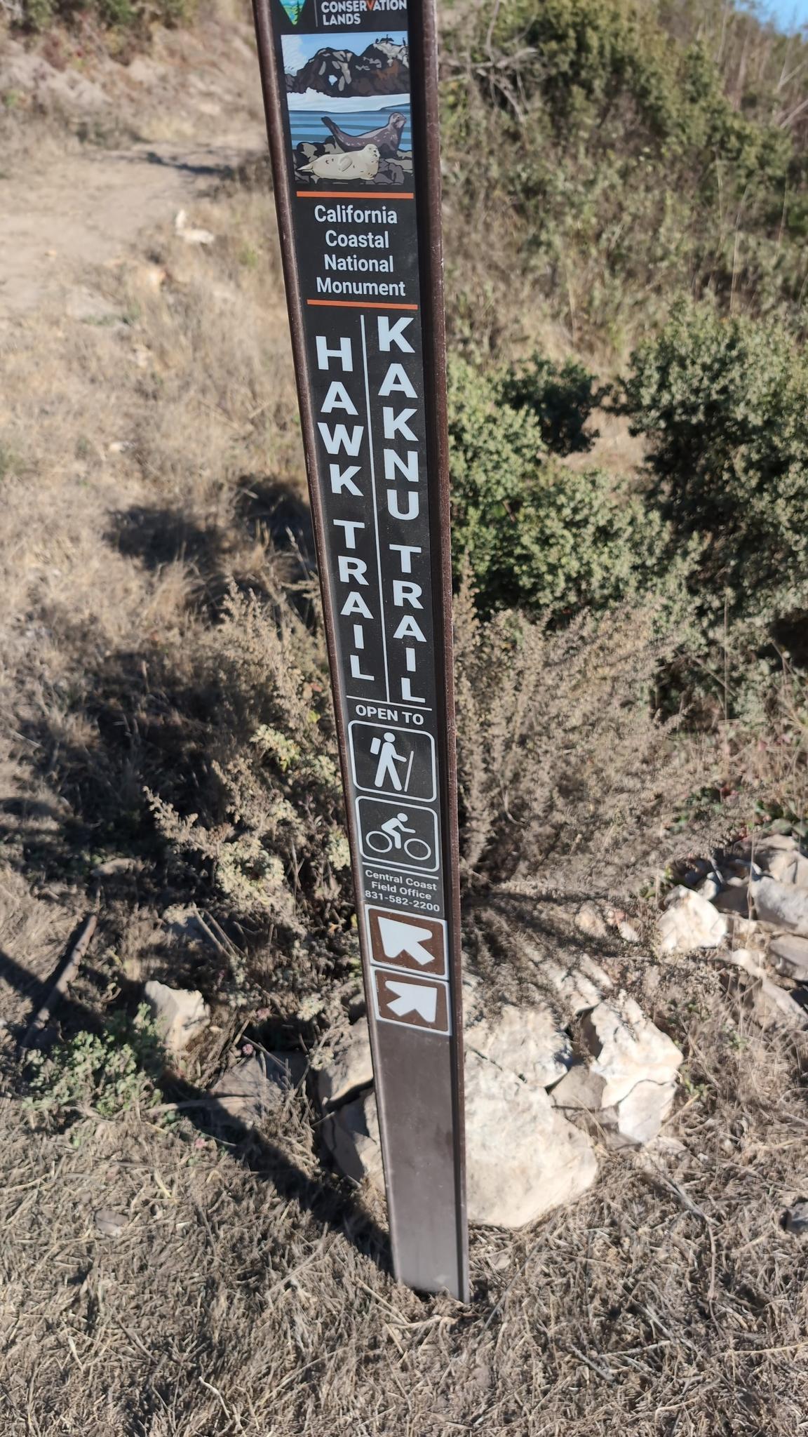 A brown trail marker post stands in dry, brushy terrain under bright daylight.