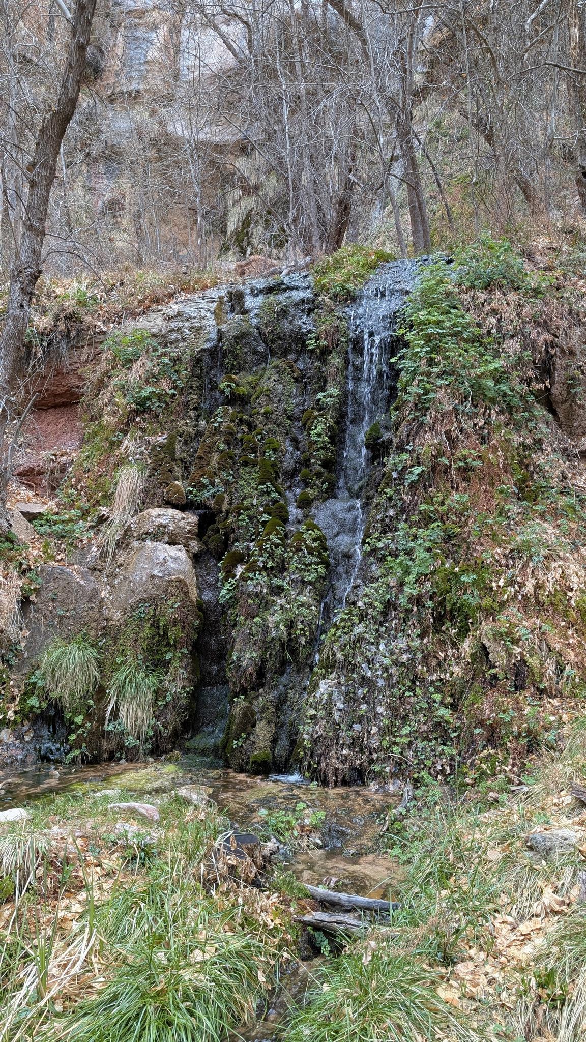 A small waterfall cascades over mossy rocks and green plants in a forest.