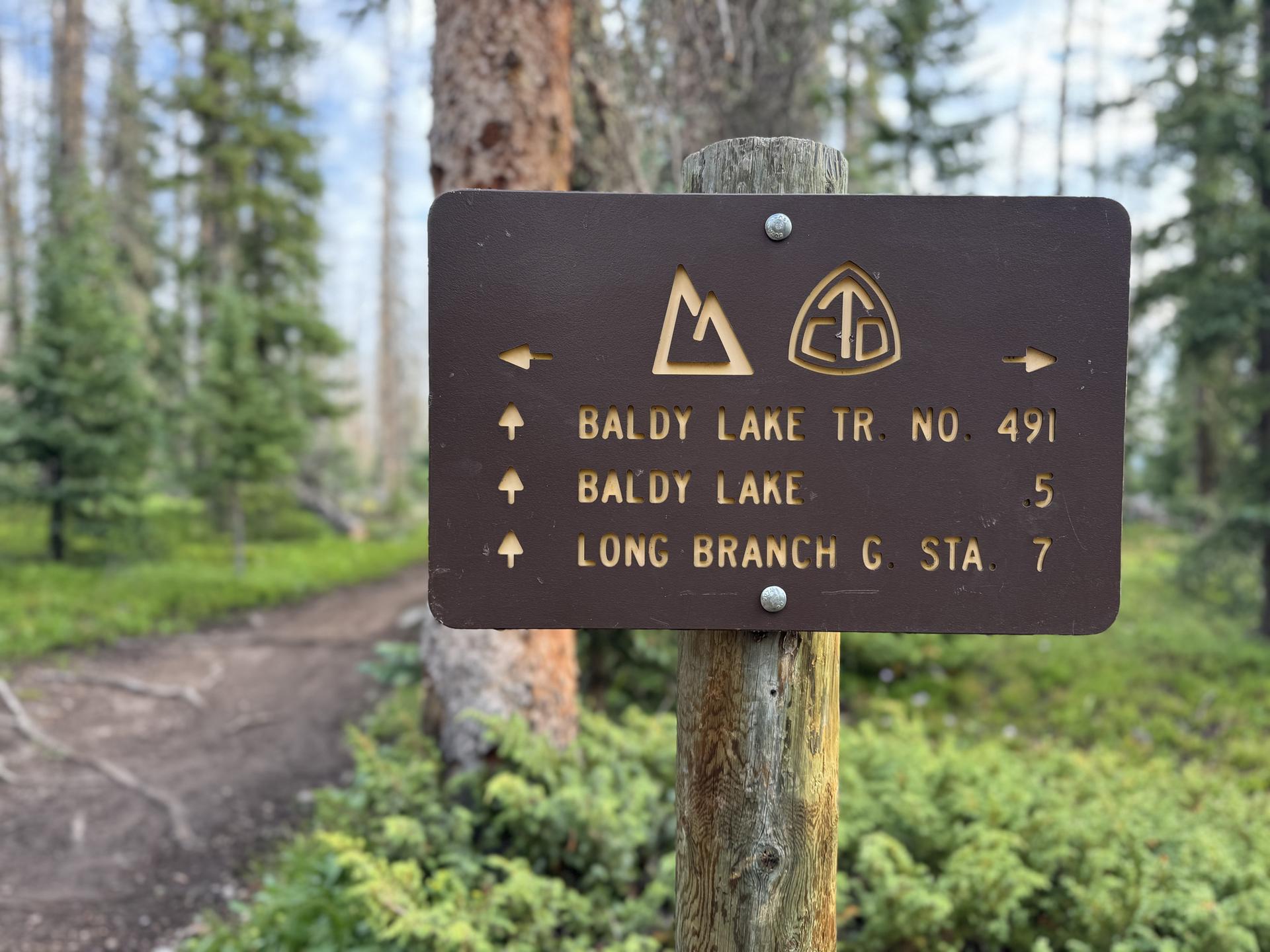 A brown wooden trail sign with white text in a forest setting.