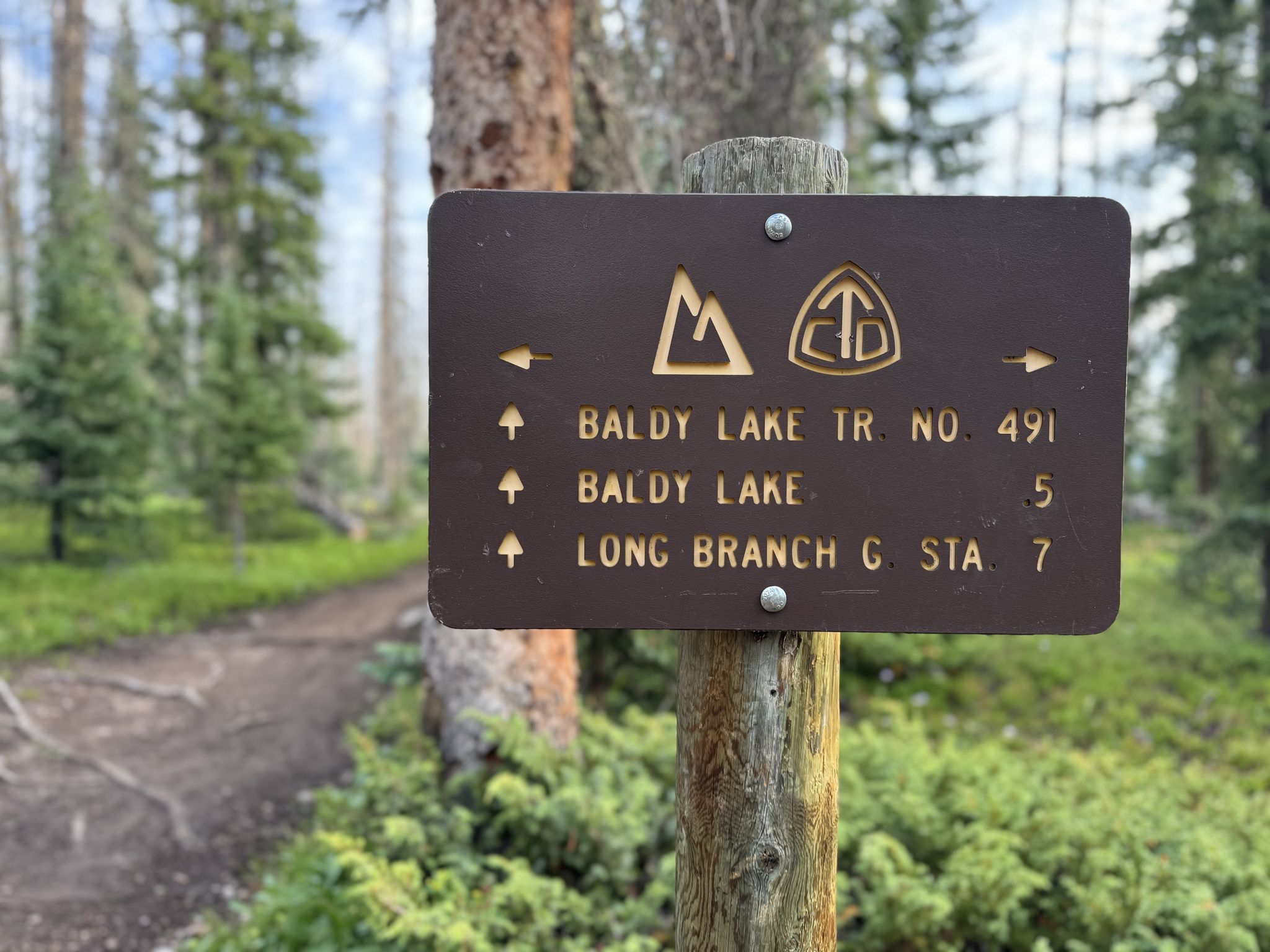 A brown wooden trail sign with white text in a forest setting. - Colorado Trail: Segment 17