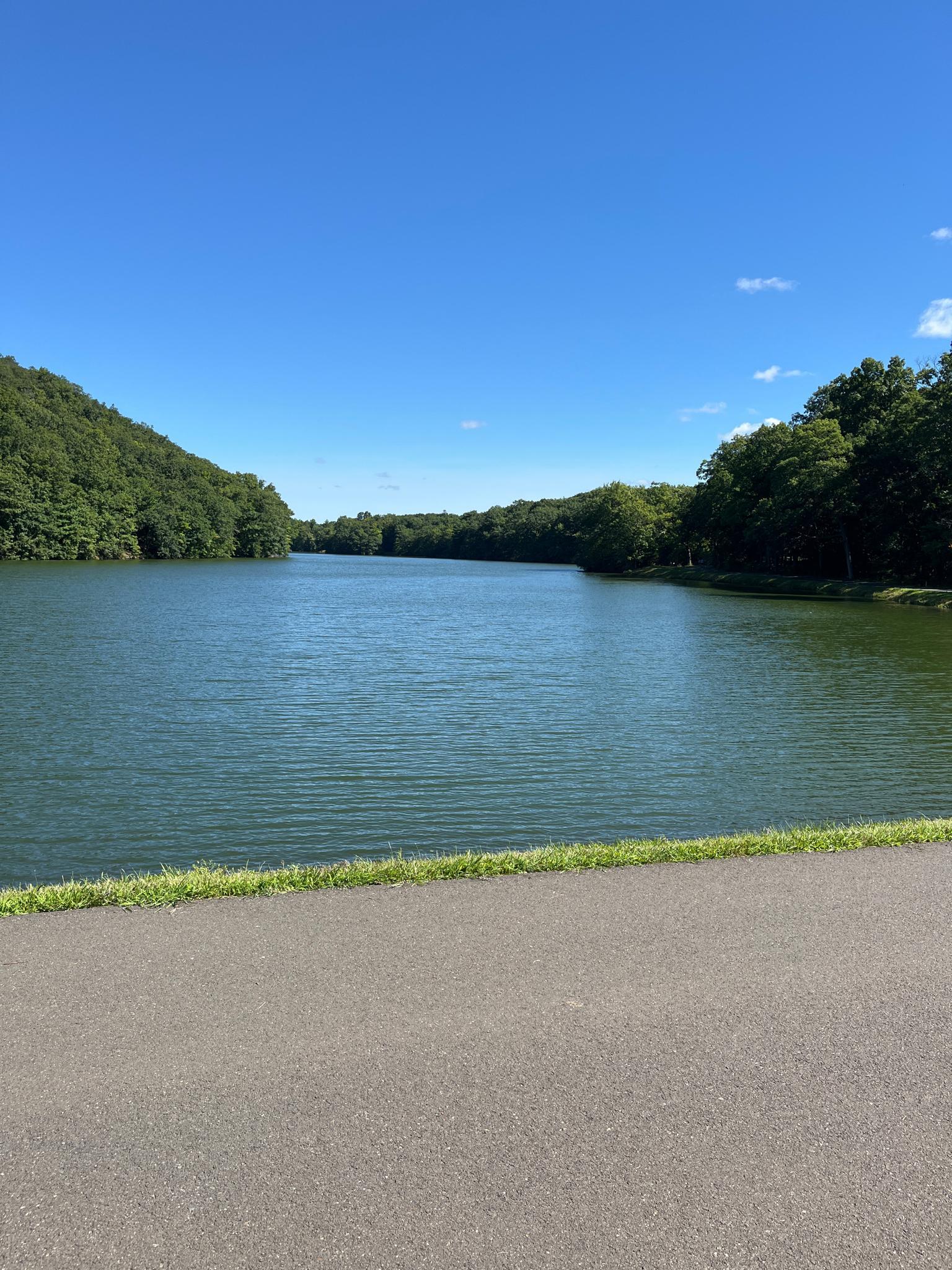 Wide lake surrounded by green forests under a clear blue sky.