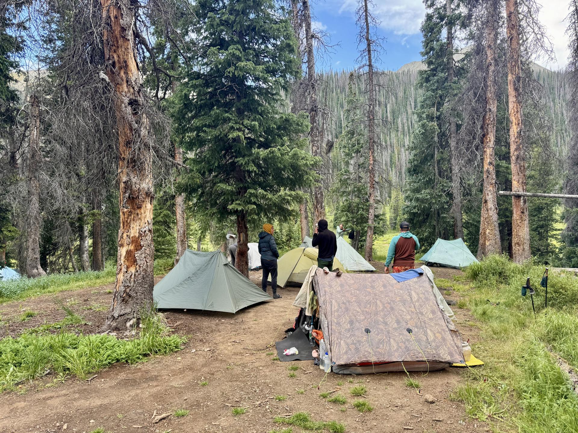 Several tents and people are set up in a sun-dappled forest campsite.