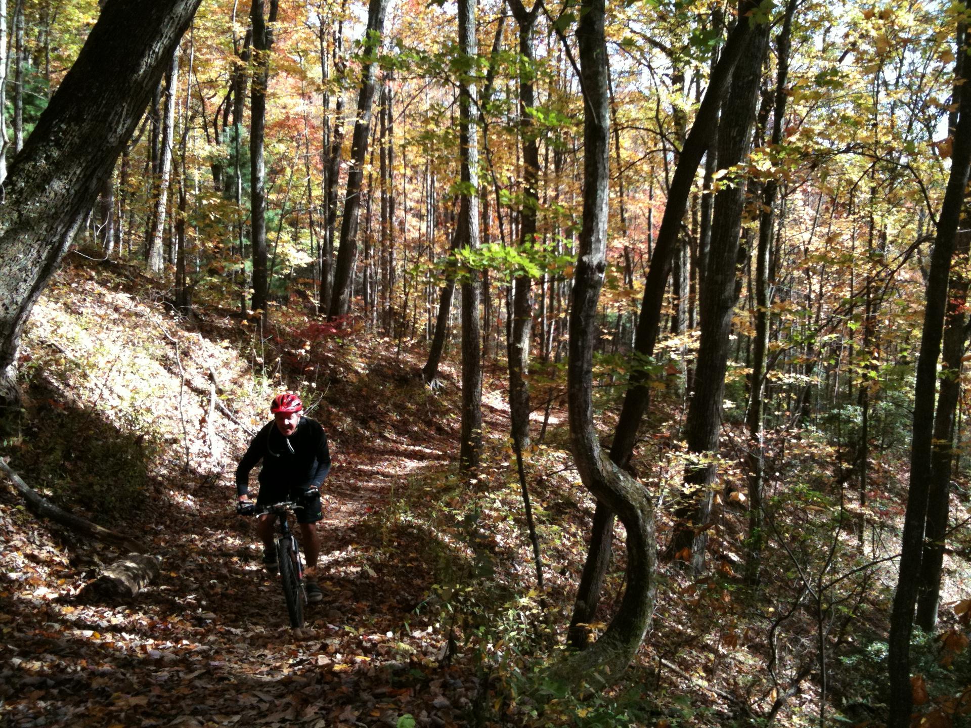 A person mountain biking on a leaf-covered trail through an autumn forest.